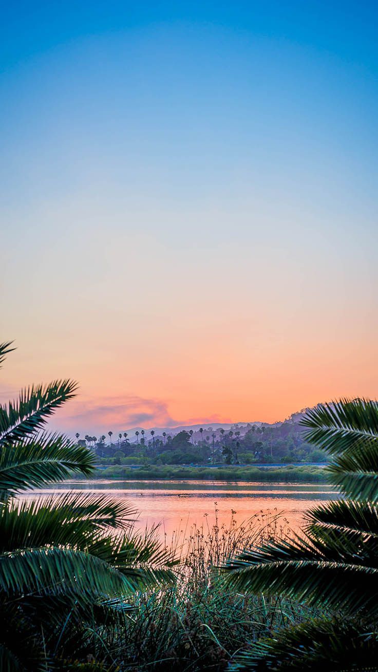 Welcome To The Jungle iPhone Xs Max Wallpaper. Preppy Wallpaper #iphonewallpaper #iphone. Sunset iphone wallpaper, Wallpaper iphone summer, Android wallpaper