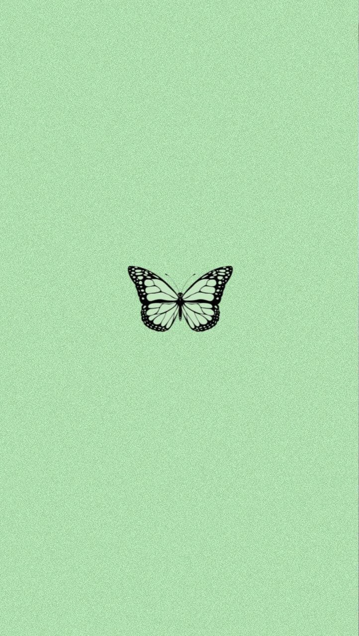 Download Super Light Green Aesthetic Butterfly Wallpaper