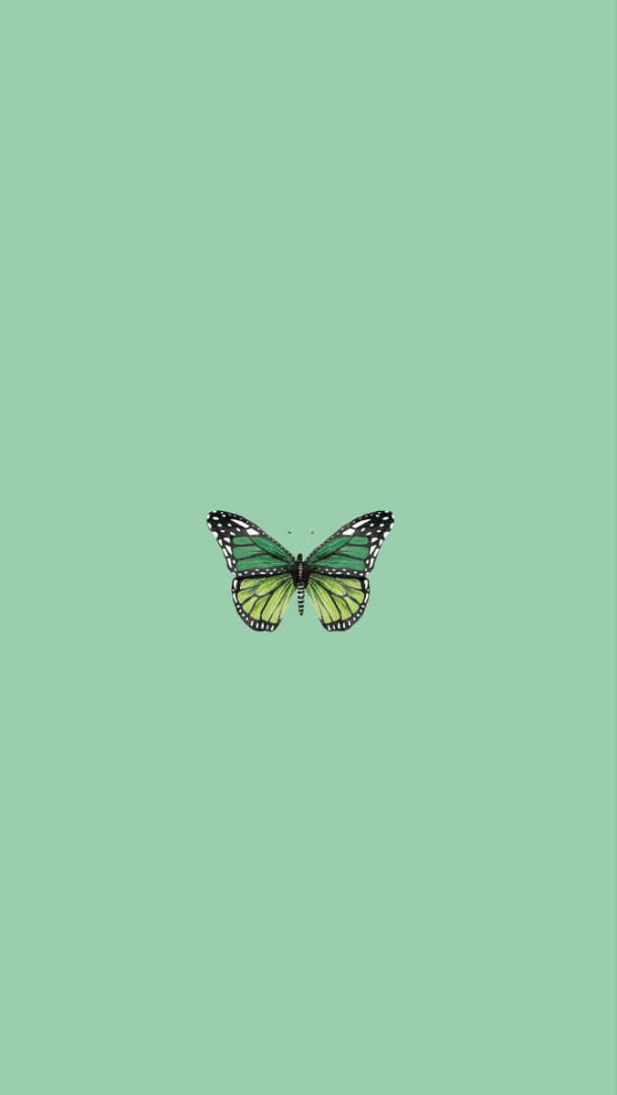 Download Green Butterfly Green Background Vertical Wallpaper