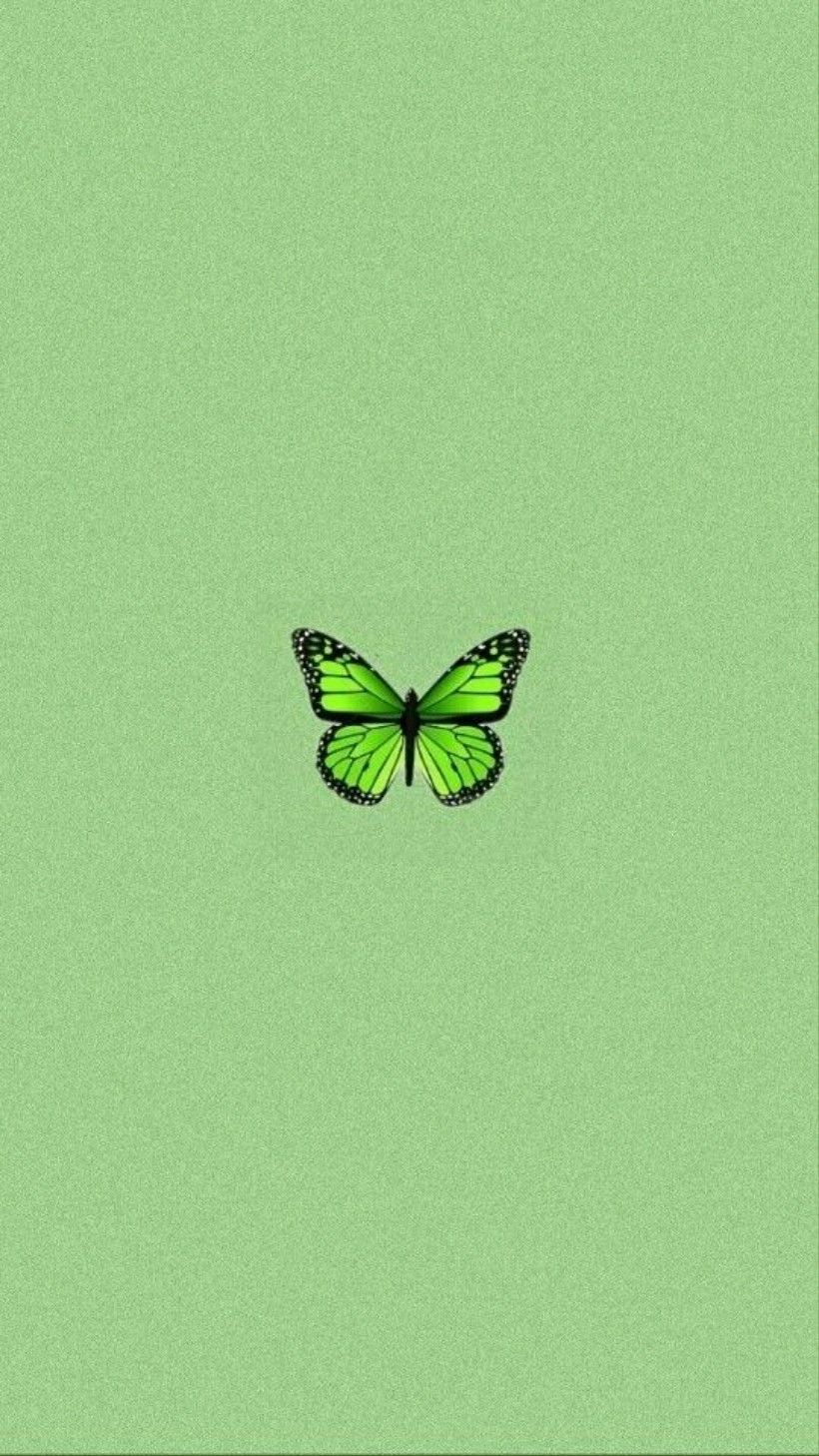 aesthetic butterfly aesthetic. Mint green wallpaper, Mint green wallpaper iphone, iPhone wallpaper green