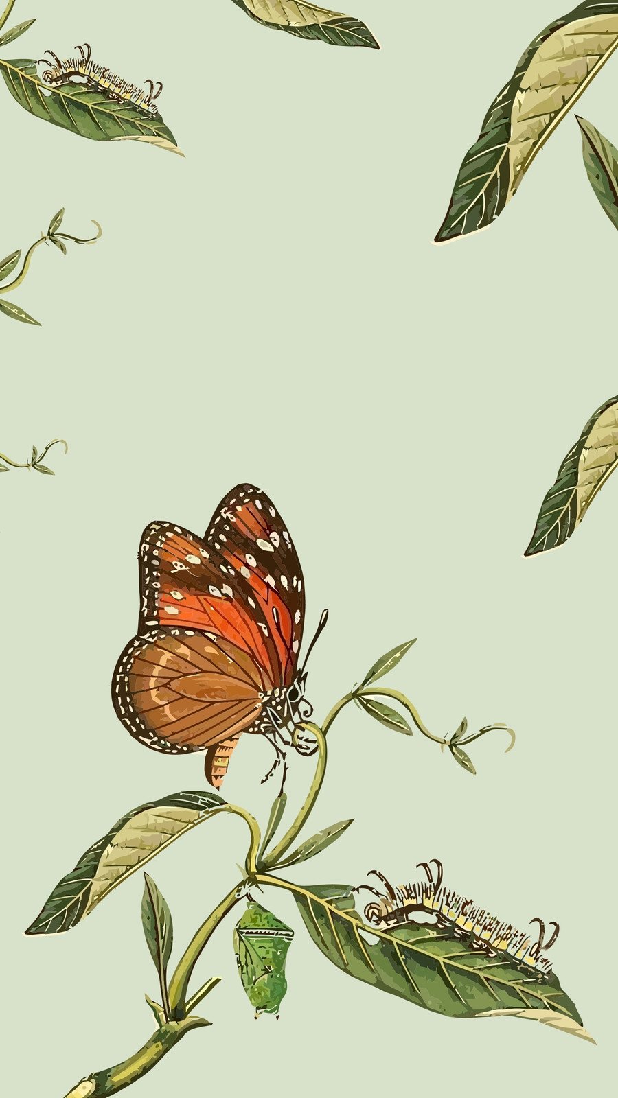 butterfly wallpaper