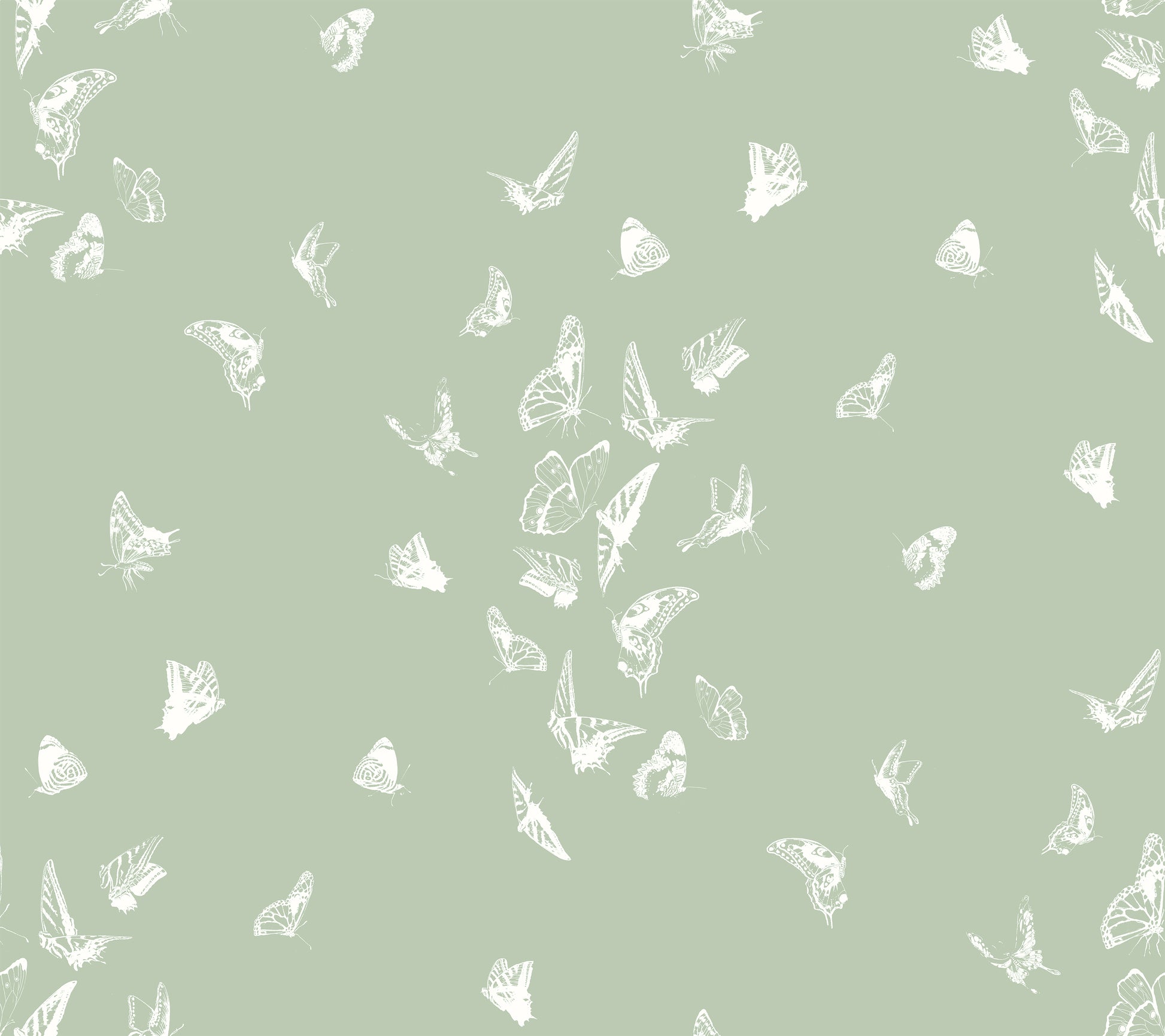 Butterfly Dance Wallpaper on Mint Green Background