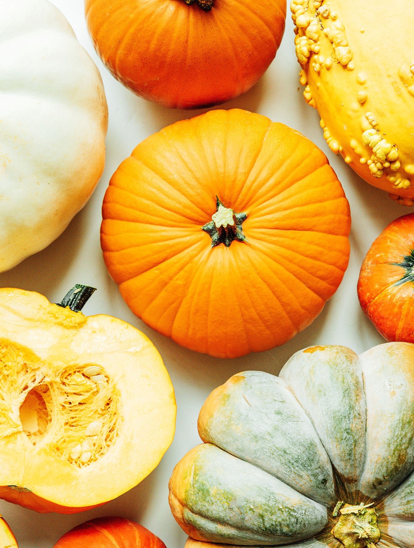 Pumpkin 101: Everything You Need To Know About Pumpkins