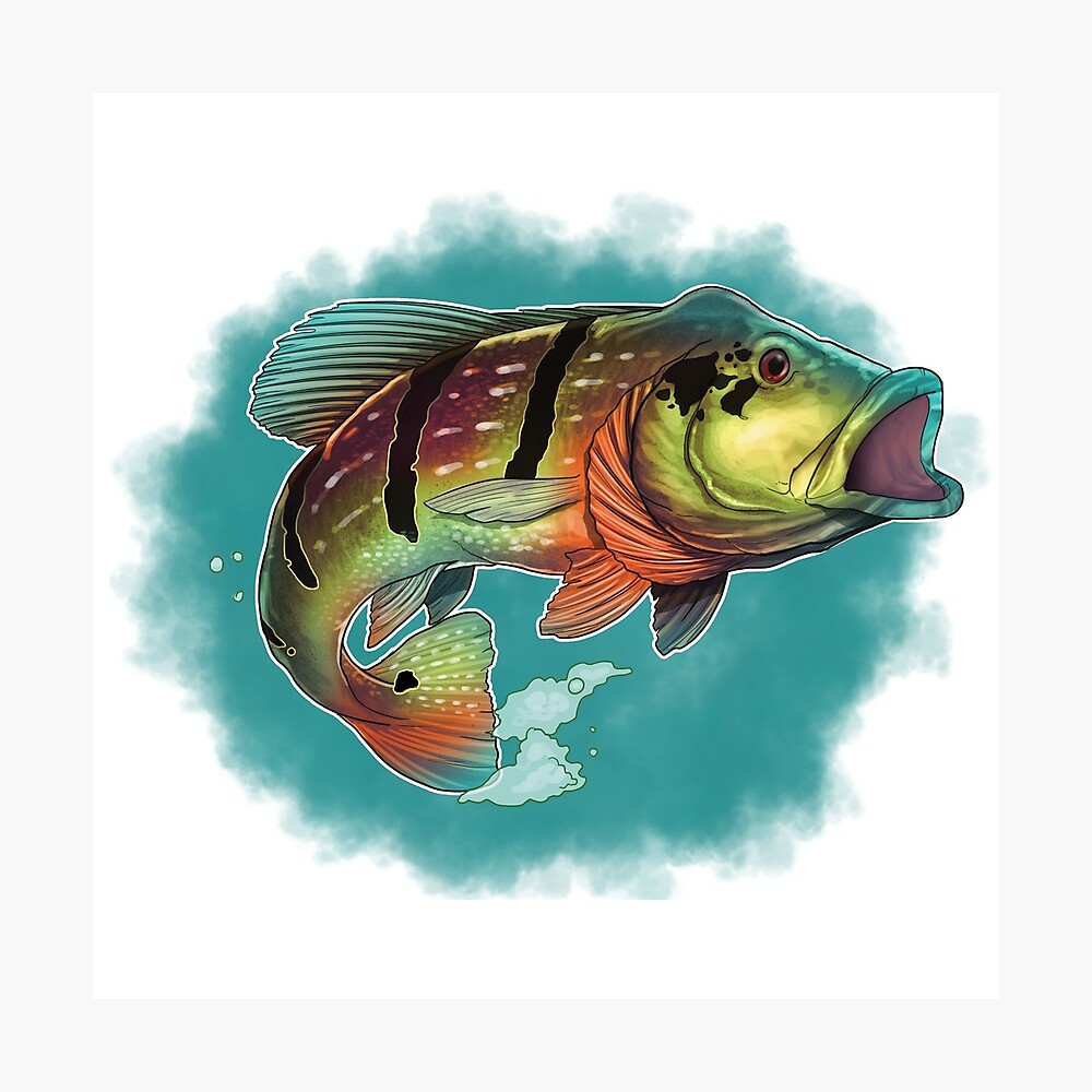Tucunare (Peacock Bass) Poster