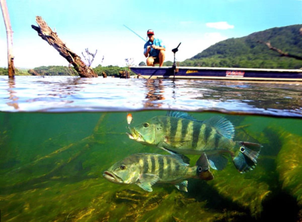Regulamentação da pesca do tucunaré no Lago de Itaipu começa a ser debatida na Assembleia de Toledo