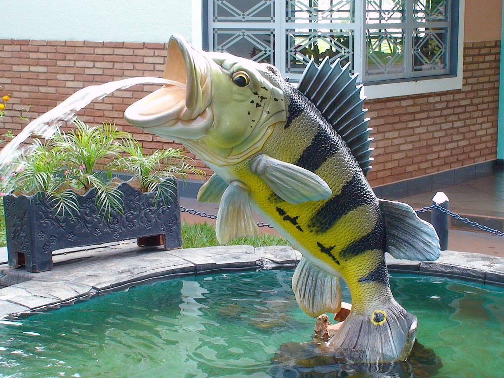 Fonte Tucunarééia SP. Essa Linda Fonte Veja Outra