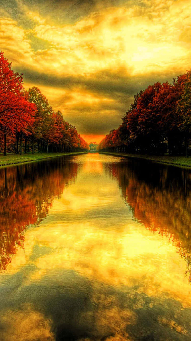 lake with trees and a sunset Wallpaper