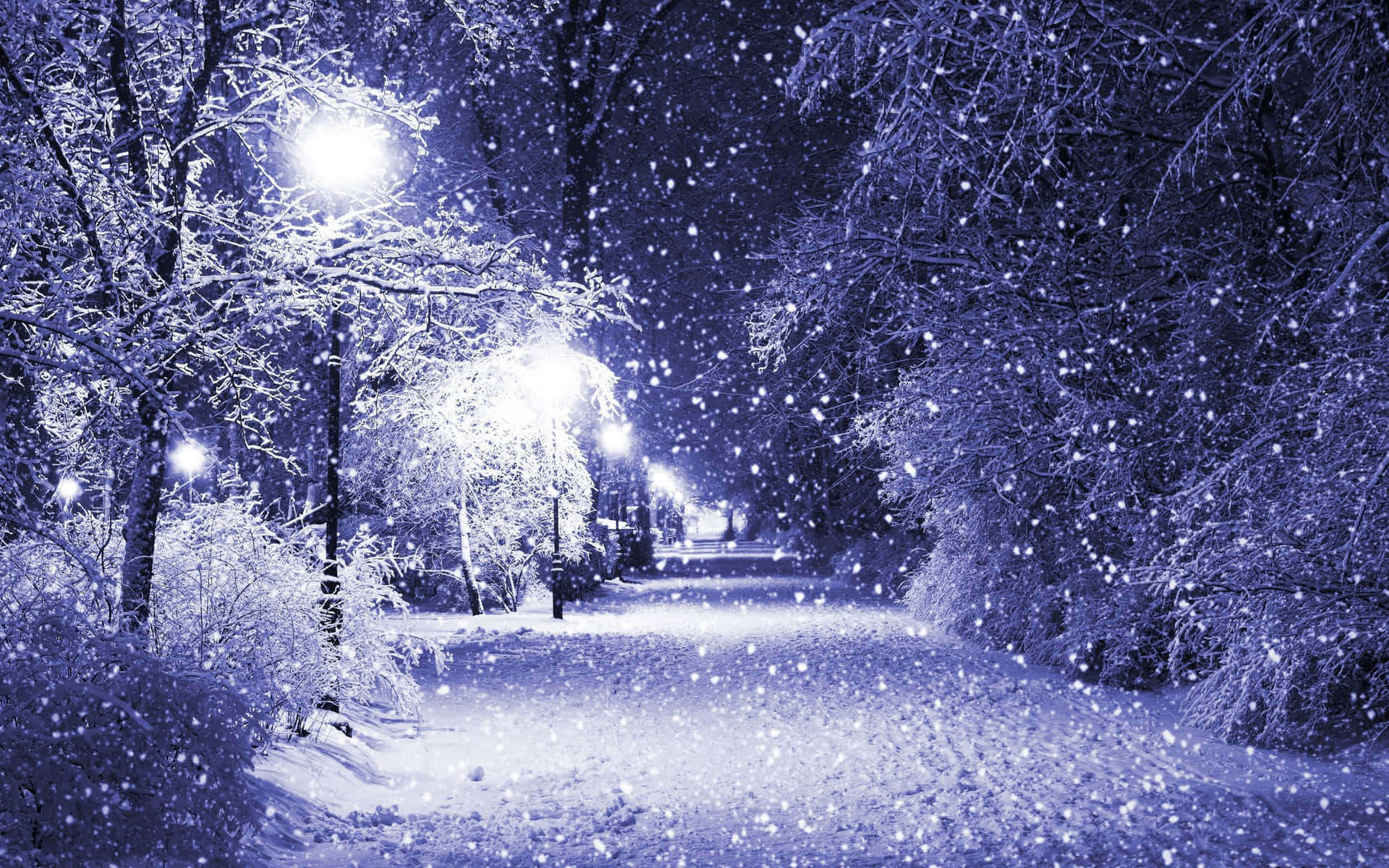 Winter Snow Desktop Wallpaper