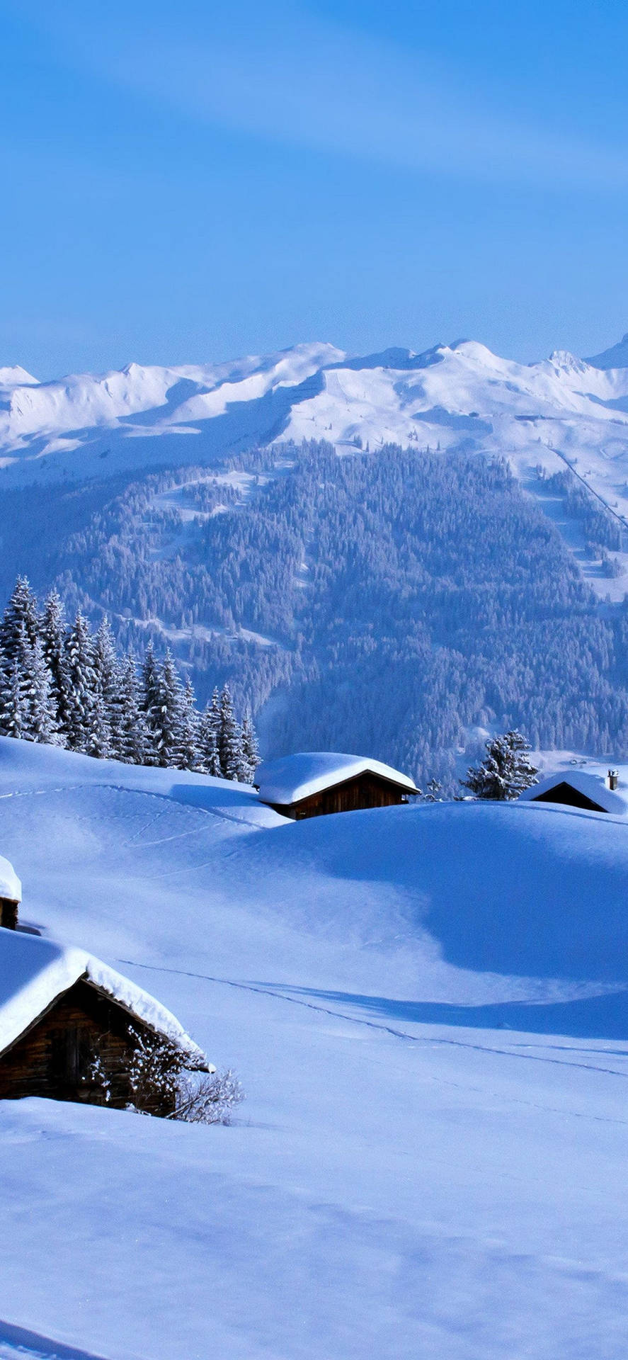 Download iPhone Xs Max Oled Snow