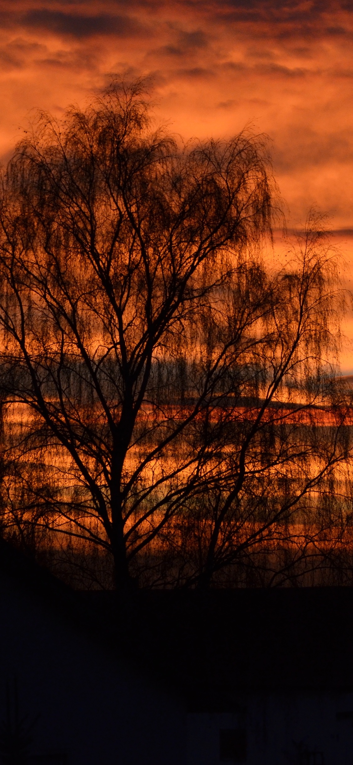 Autumn Sunset 5k iPhone XS, iPhone