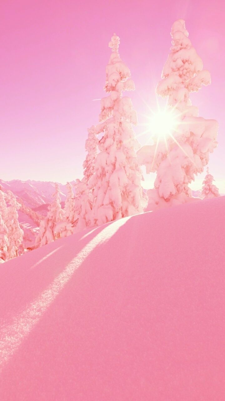 Image shared by