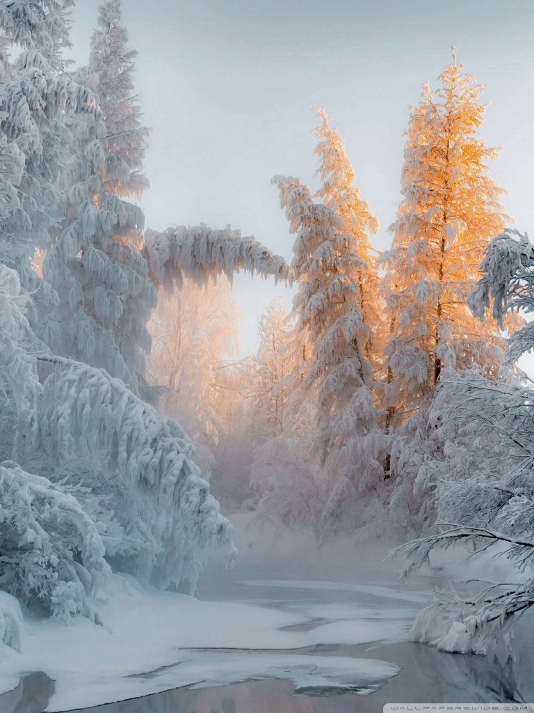Winter Wonderland Ultra HD Desktop Background Wallpaper for 4K UHD TV, Widescreen & UltraWide Desktop & Laptop, Tablet