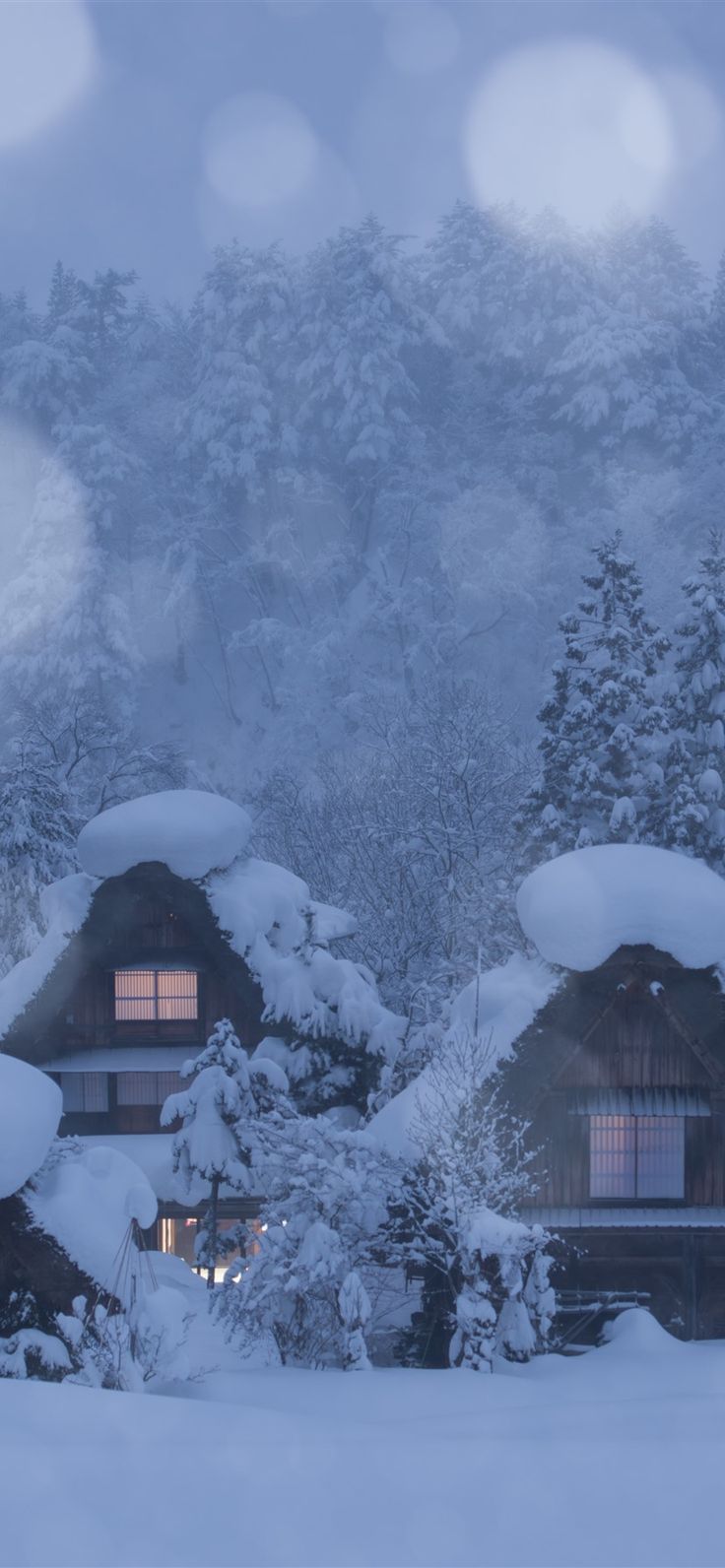 Winter Snow In Shirakawa Go Village, Japan. Winter In Japan, Winter Scenery, Japan Landscape