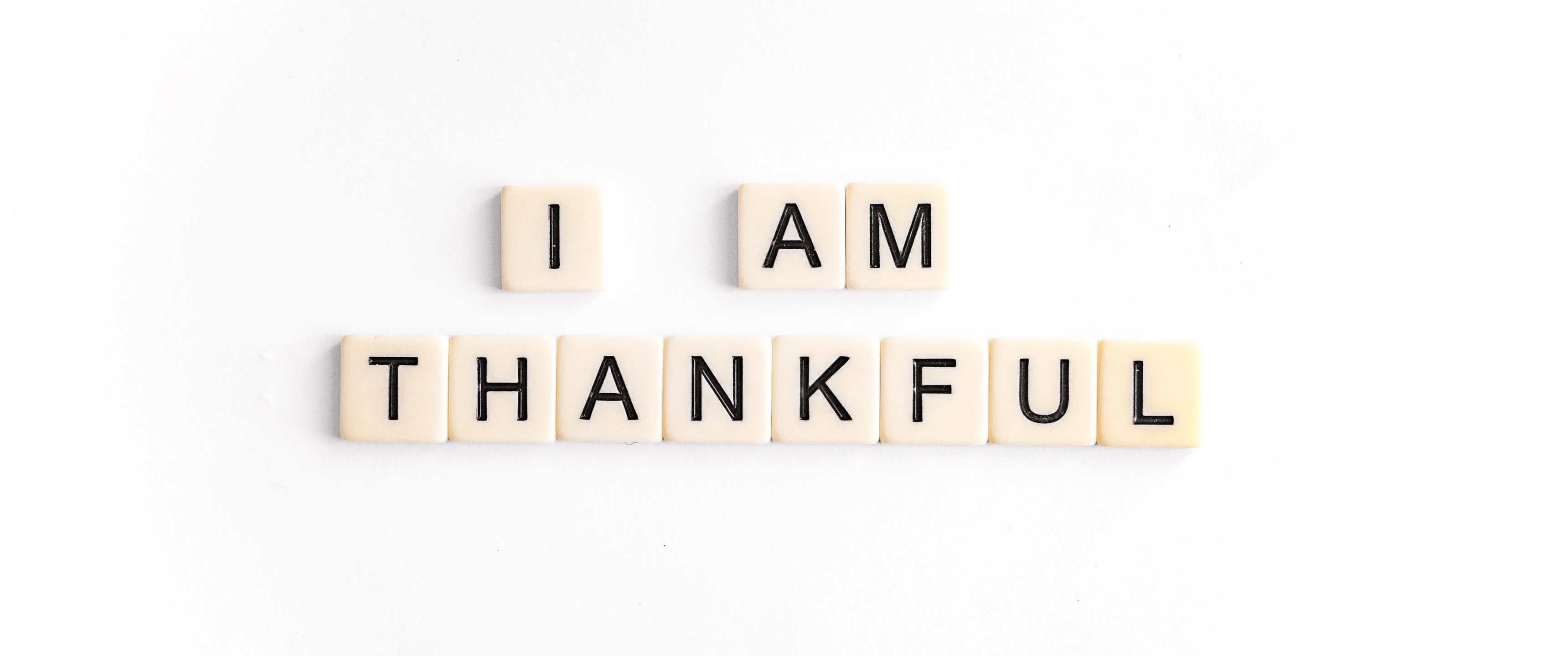 Happy Thanksgiving Wallpaper 4K, Thankful, Thanksgiving Day