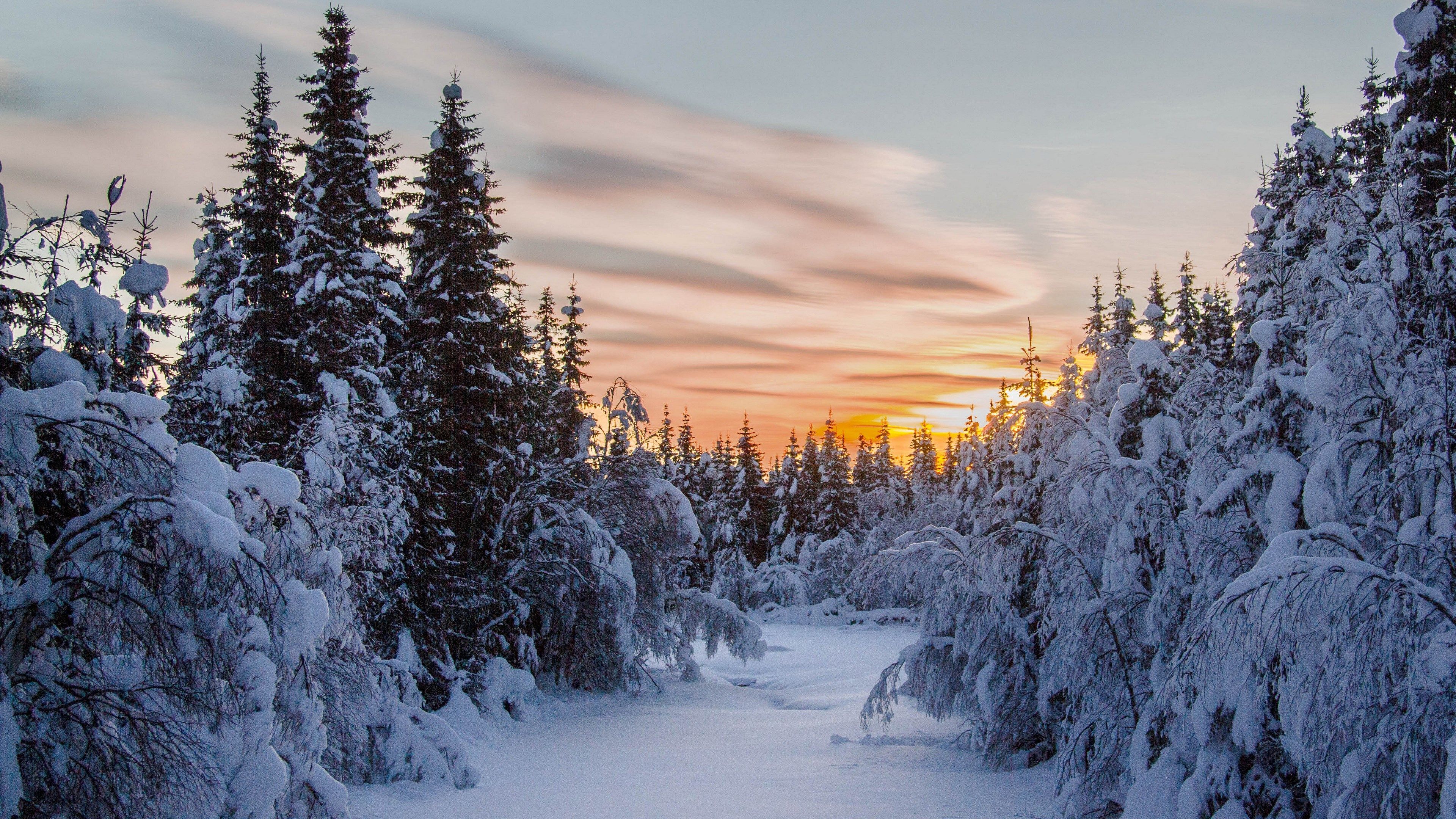 desktop wallpaper winter nature 3840x2160. Landscape wallpaper, Winter nature, Mac wallpaper