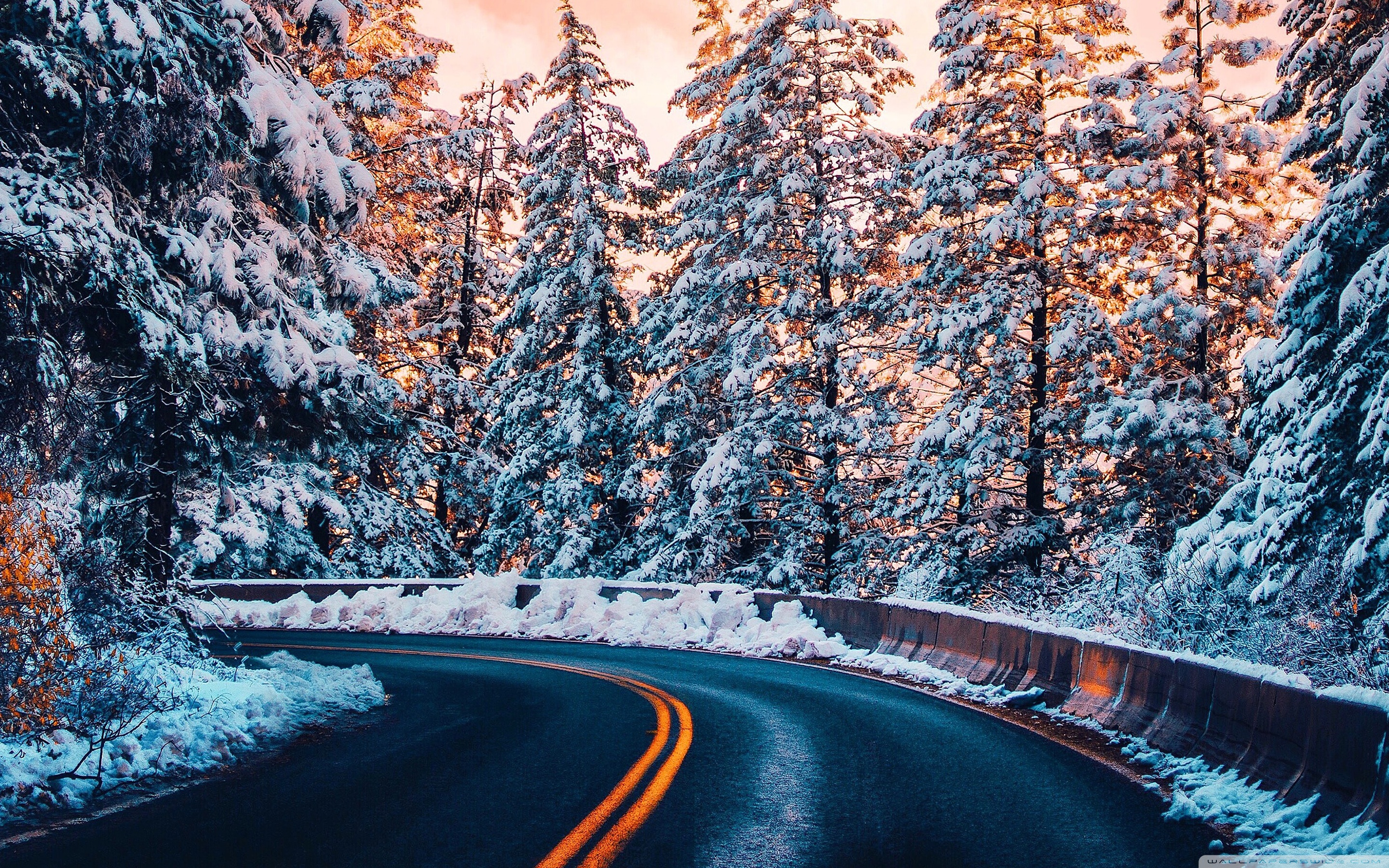 Winter Forest Road Ultra HD Desktop Background Wallpaper for 4K UHD TV, Widescreen & UltraWide Desktop & Laptop, Tablet