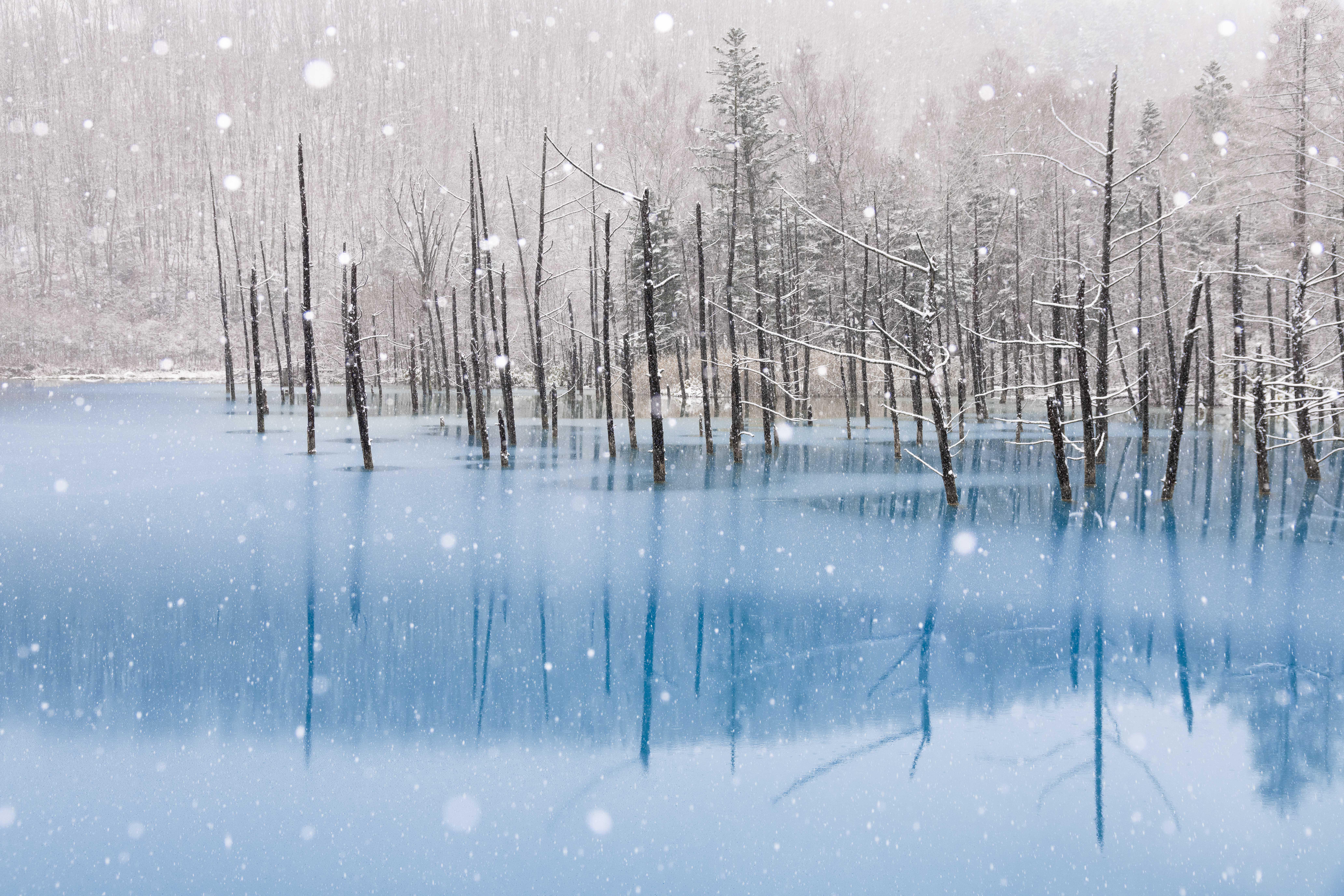 I found the MacBook Pro desktop wallpaper and photographed it yesterday in Biei, Hokkaido! You have a very short window of around 2 weeks from the 1st snow to enjoy it's blue