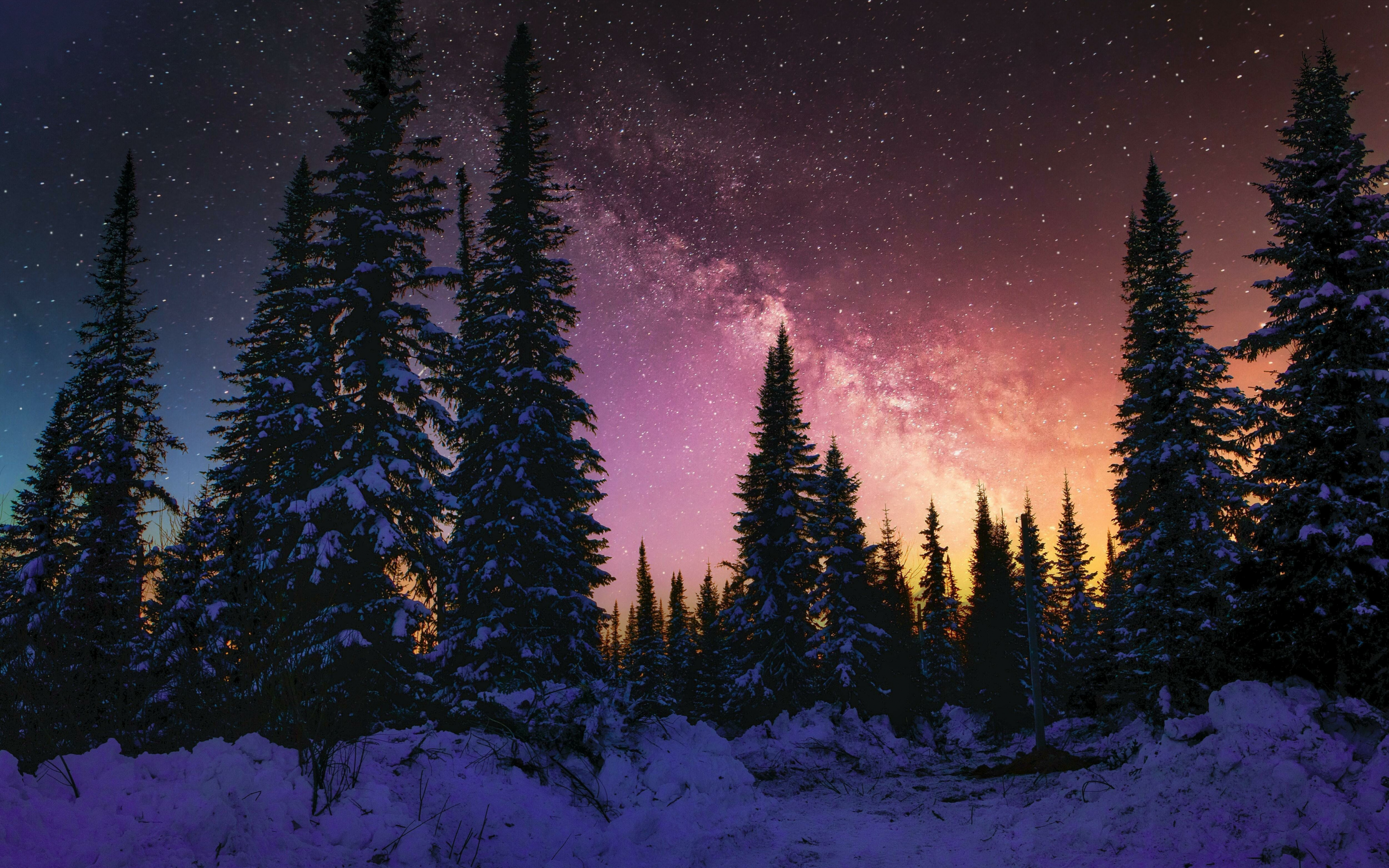 Download wallpaper 2880x1800 winter, beautiful night, forest, galaxy, nature, mac pro retaia 2880x1800 HD background, 28249