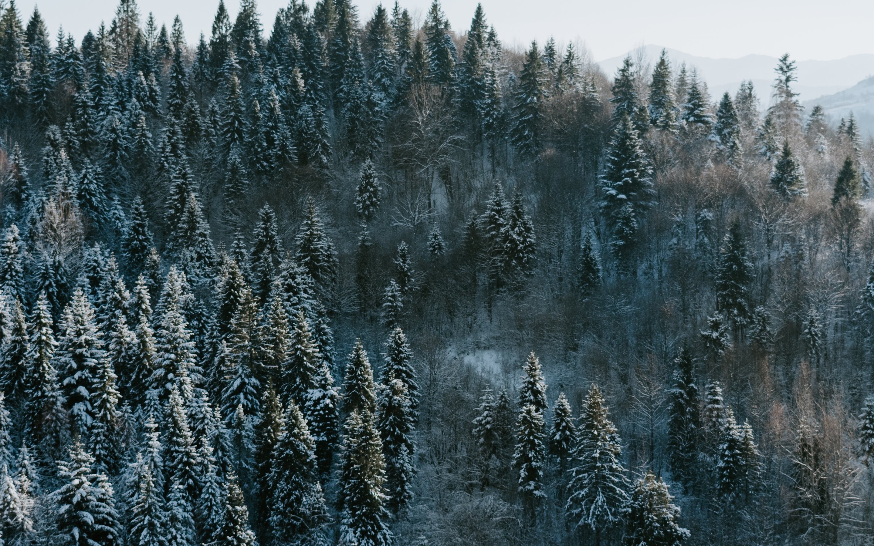 Winter wonderland MacBook Air Wallpaper Download