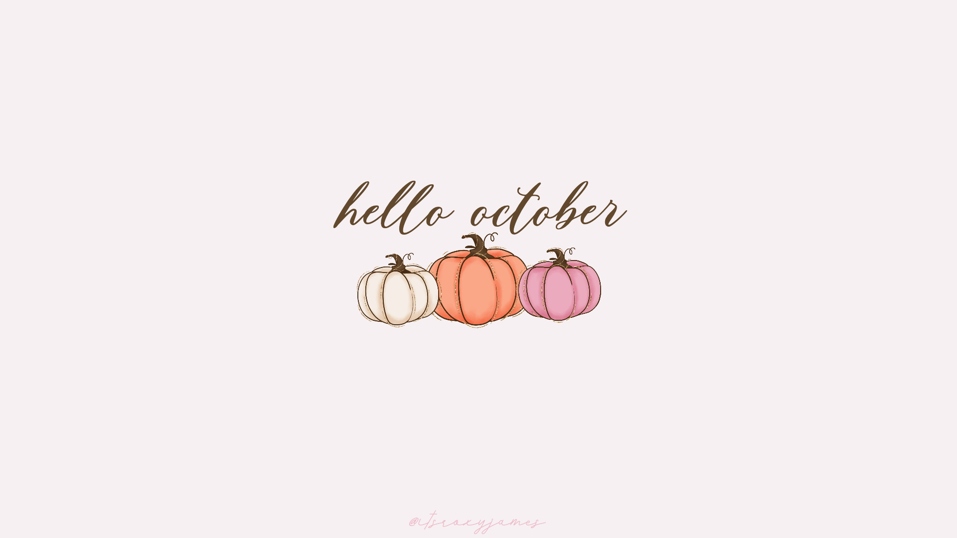 Pretty Pumpkin Wallpaper