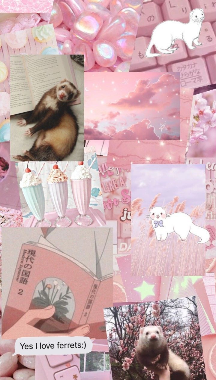 Aesthetic wallpaper with ferrets uwu. Hurones, Fondos borrosos para fotos, Urones