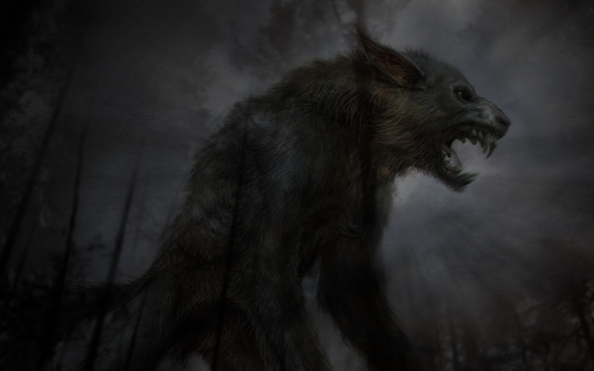 Dark Werewolf HD Wallpaper