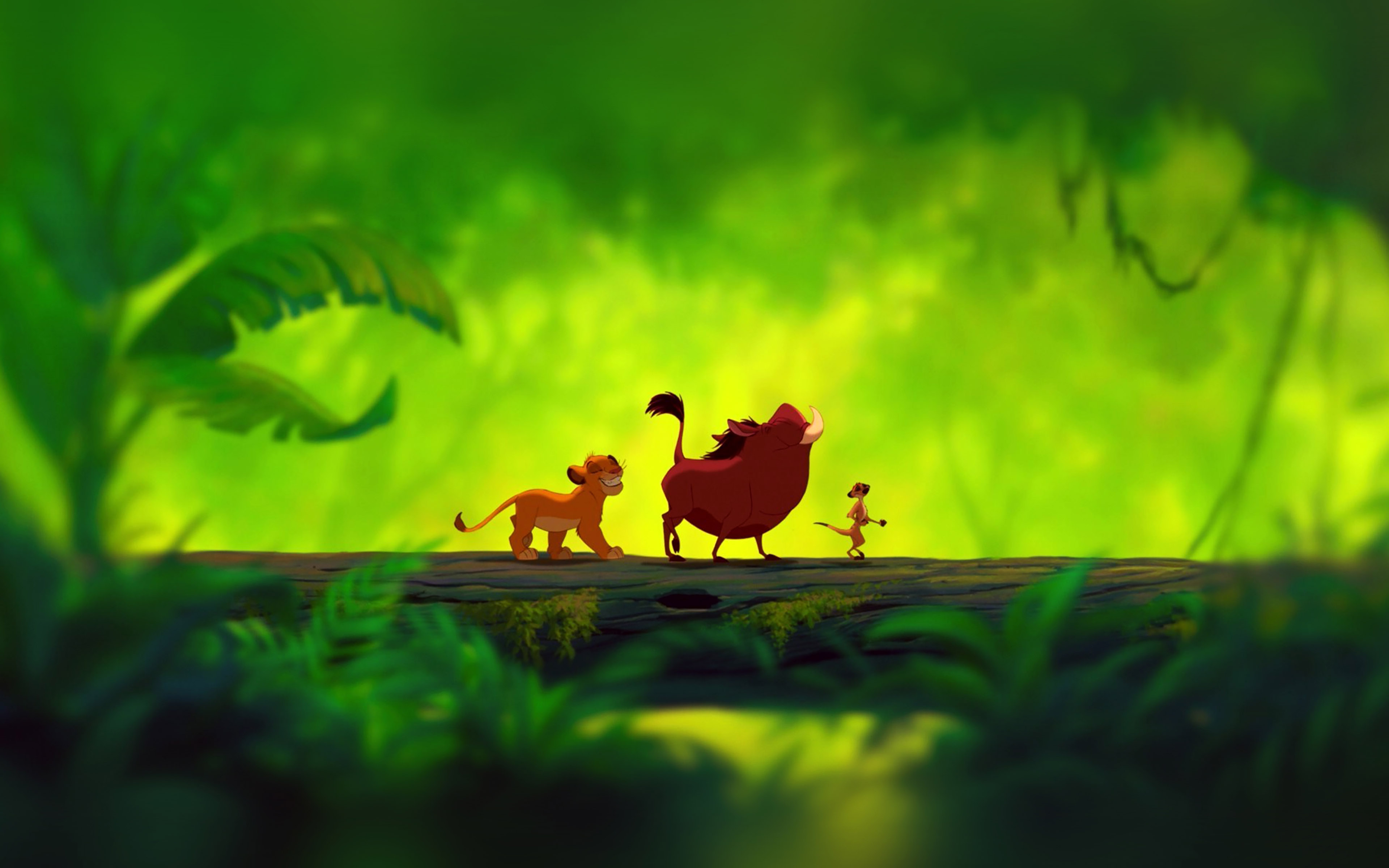 Lionking Hakuna Matata Cartoon Disney