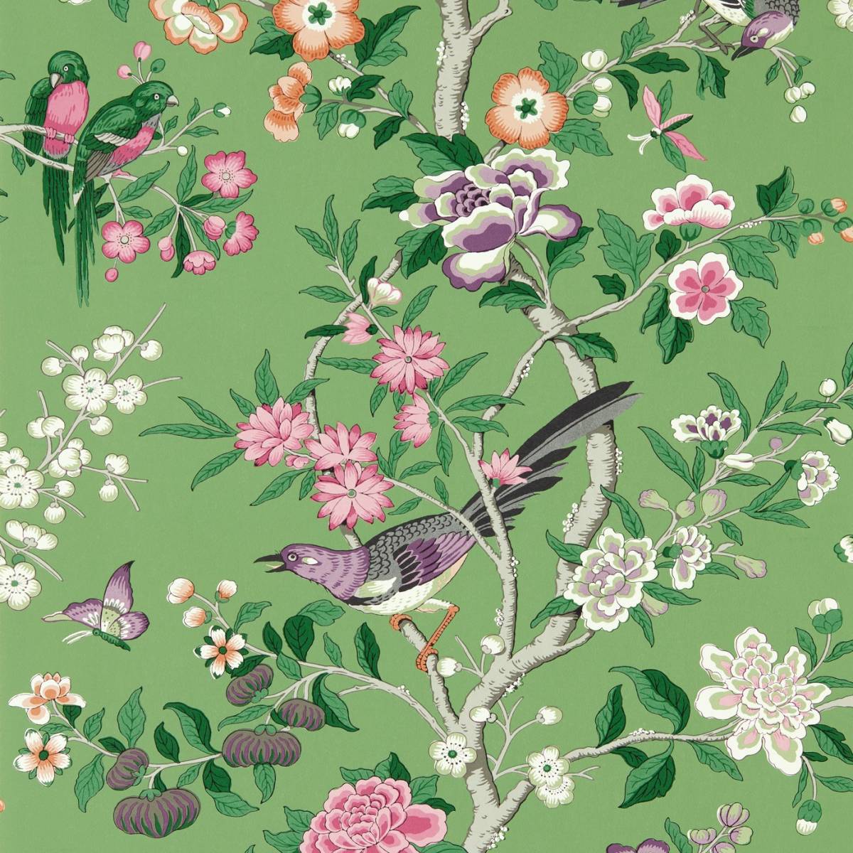 Chinoiserie Hall Wallpaper Green Lotus Pink (DWAW217110) Water Garden Wallpaper Collection