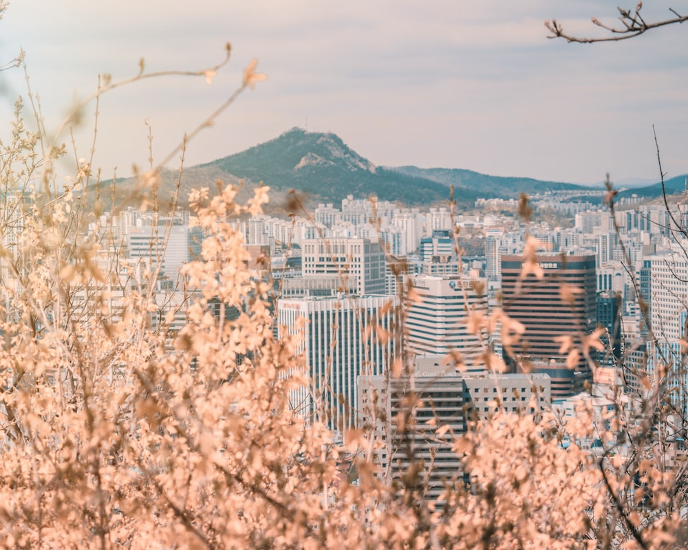 Seoul Picture. Download Free Image