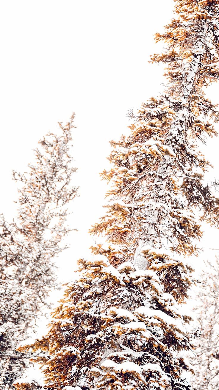 Merry Preppy Christmas iPhone Wallpaper. Preppy Wallpaper. Wallpaper iphone christmas, iPhone wallpaper winter, Preppy wallpaper