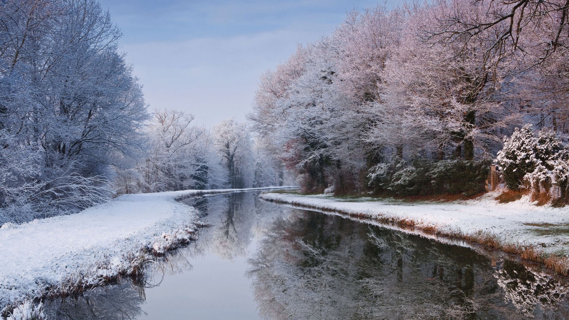 Wallpaper river, winter, forest, snow, trees, 5K, Nature