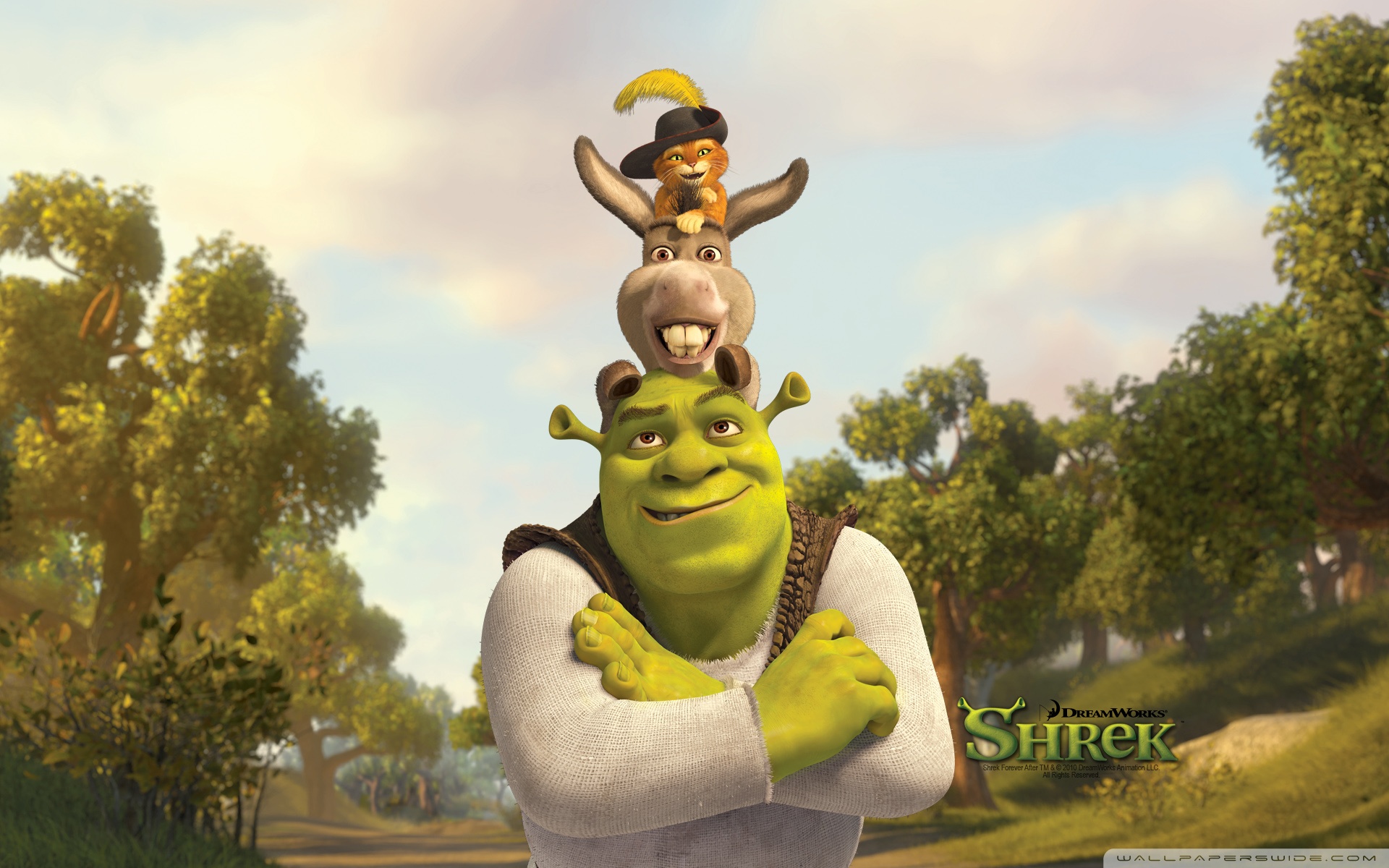 Shrek, Puss And Donkey Ultra HD Desktop Background Wallpaper for 4K UHD TV, Widescreen & UltraWide Desktop & Laptop, Tablet