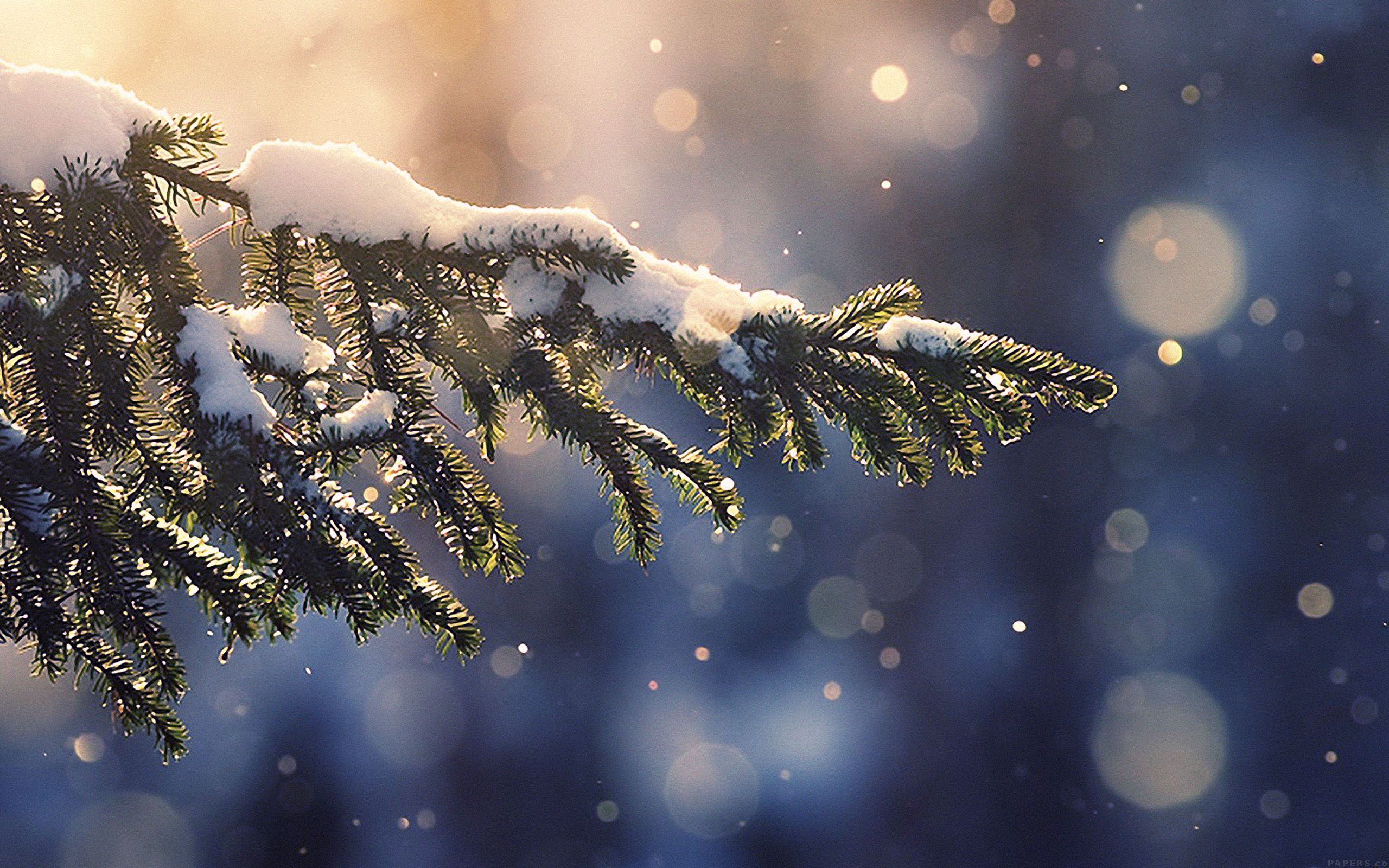 Snowing Tree Blue Christmas Winter