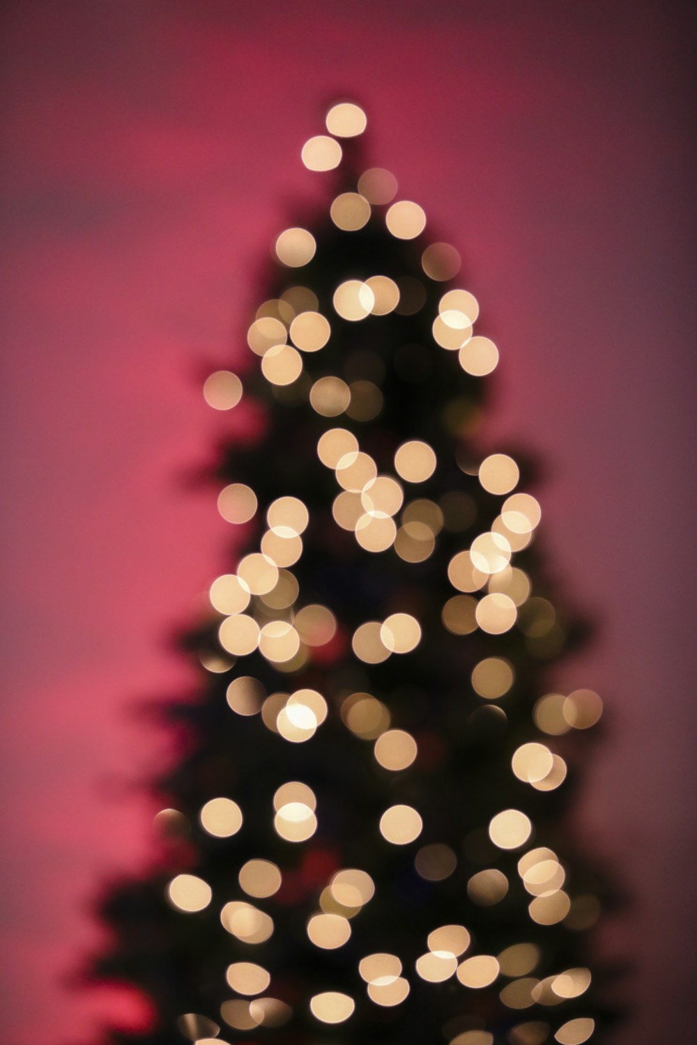 A blurry photo of a lit christmas tree photo