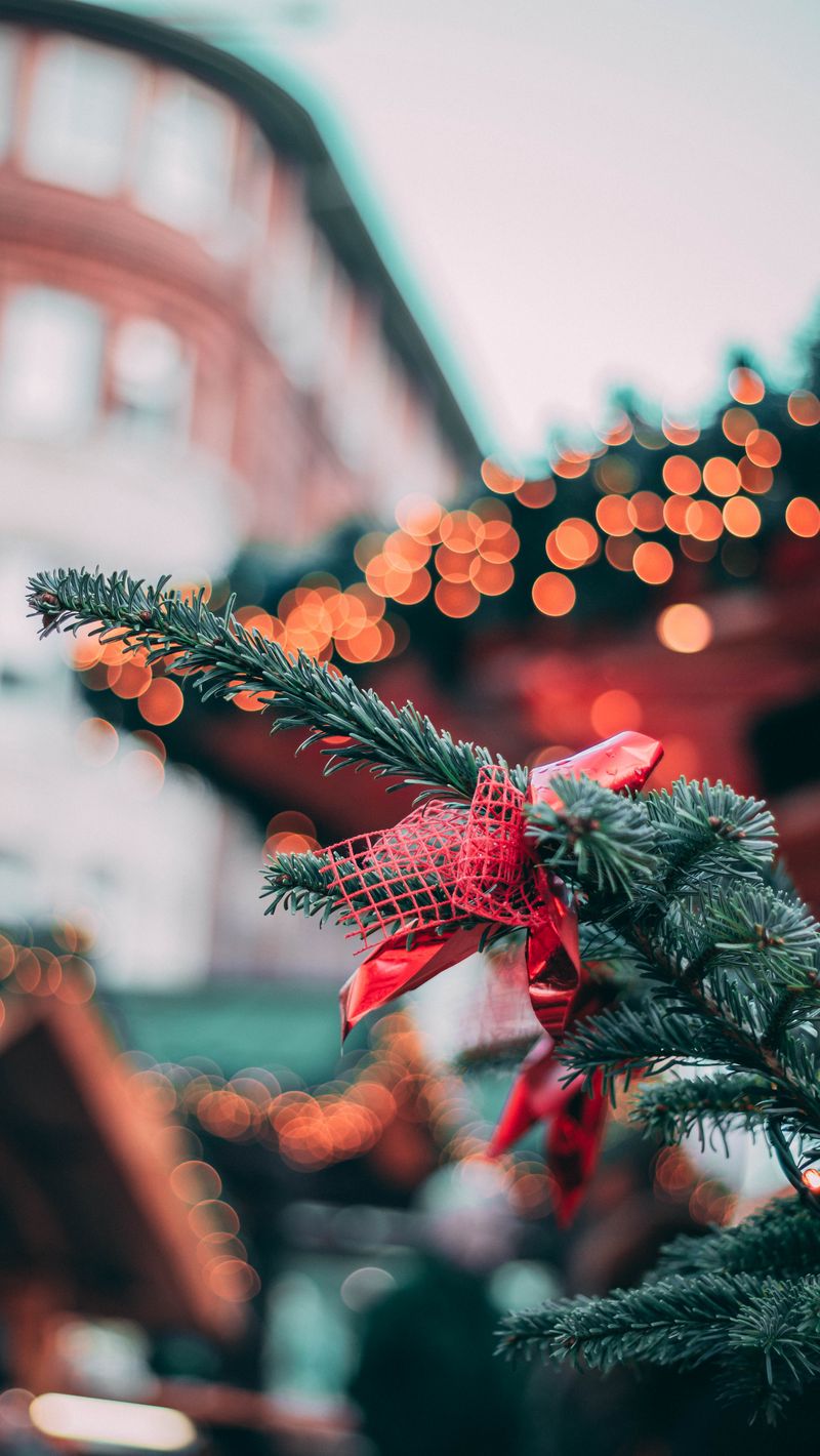 Download Wallpaper 800x1420 Tree, Christmas Toy, Christmas, New Year, Glare, Bokeh, Blur Iphone Se 5s 5c 5 For Parallax HD Background