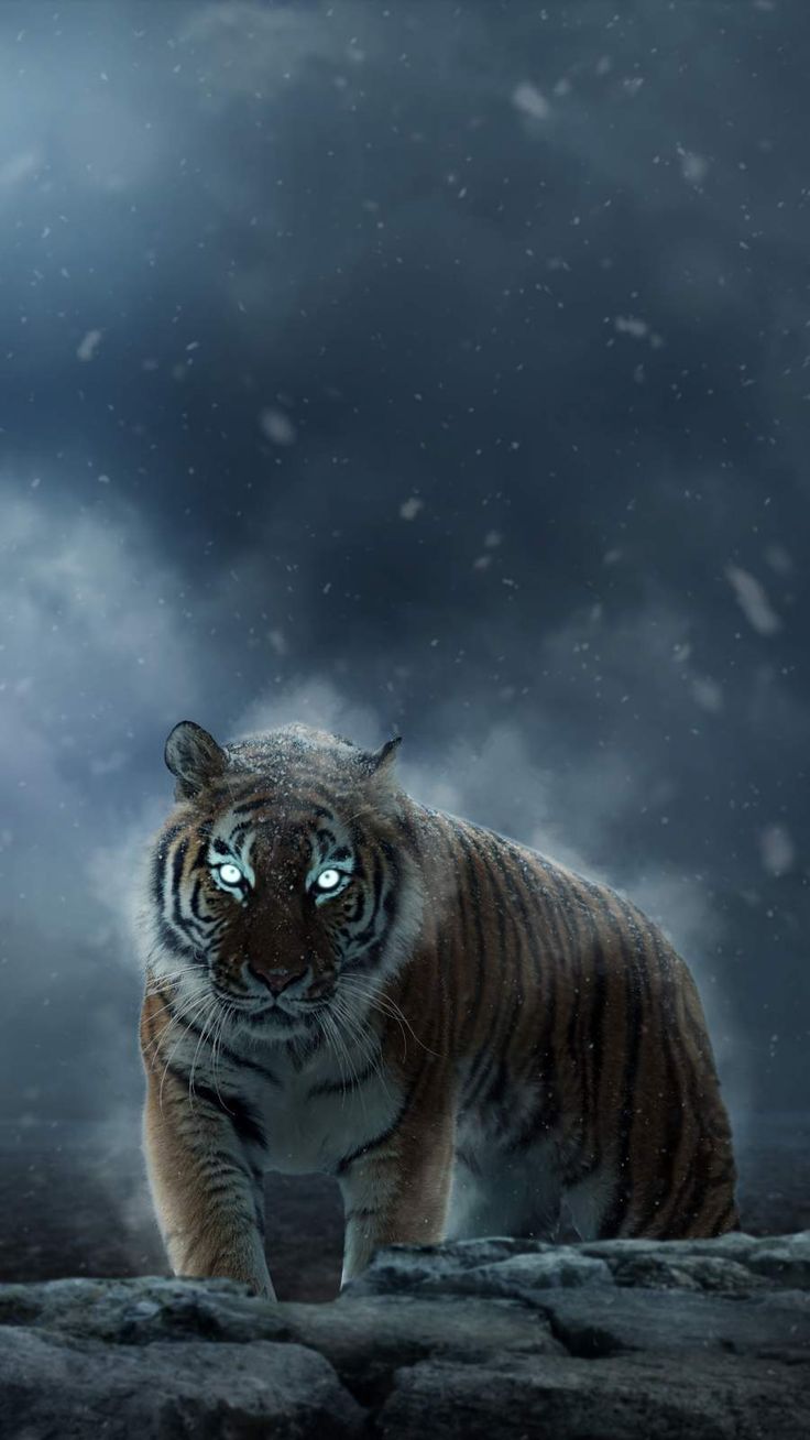 iPhone wallpaper, Tiger artwork, Giant
