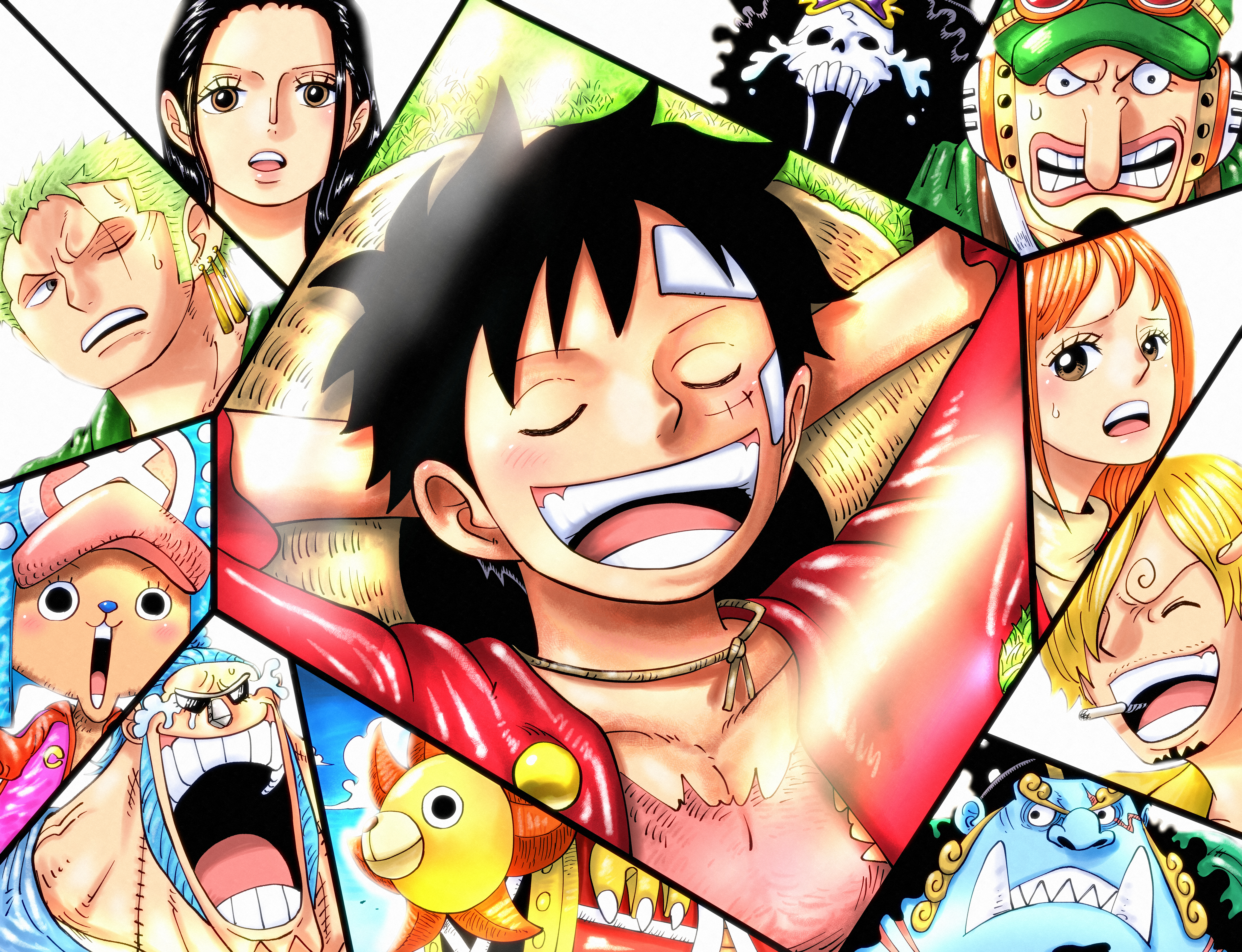 Monkey D. Luffy Anime One Piece