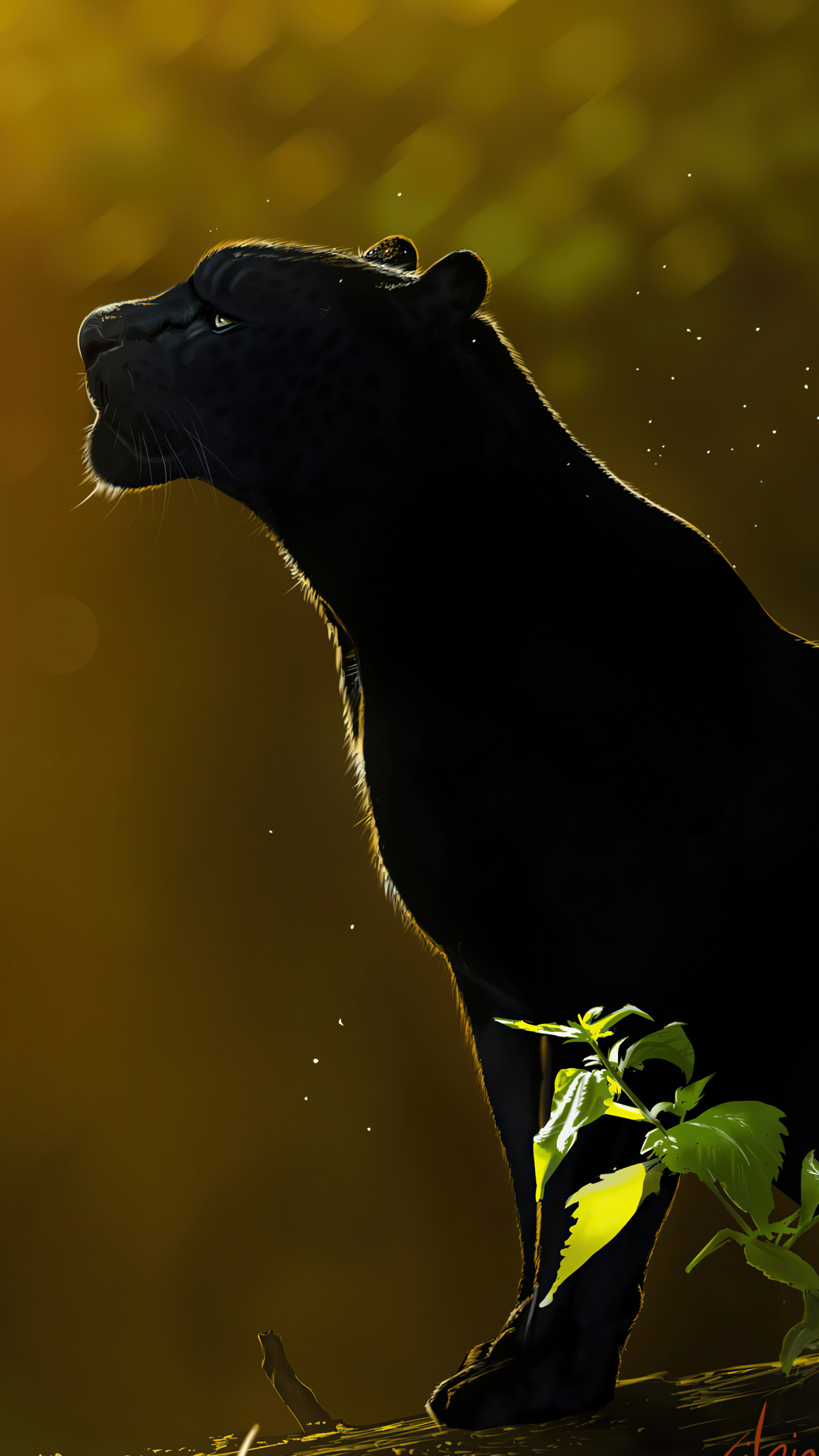 Black Panther (Animal) Wallpaper (image inside)