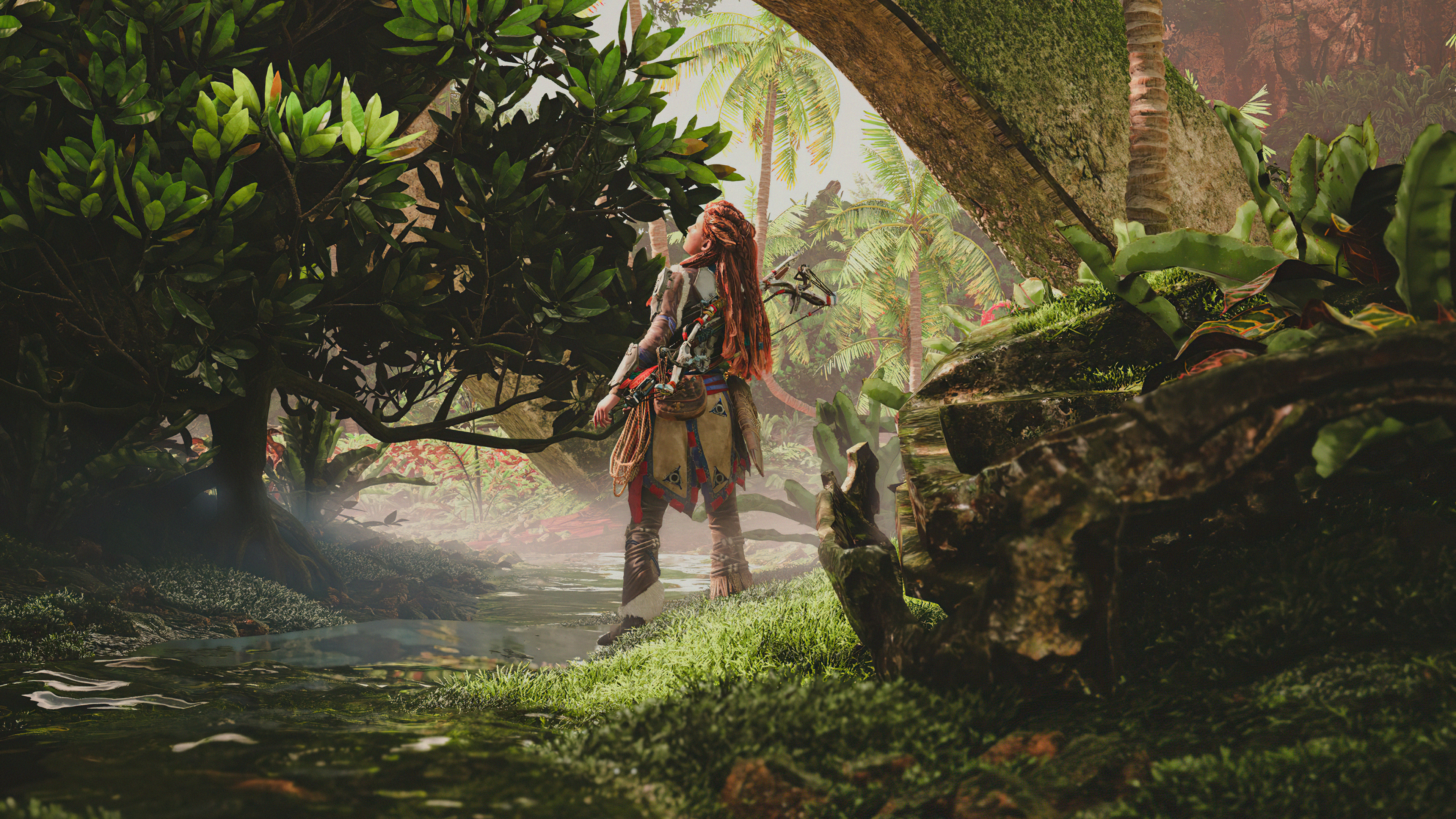 The Horizon Forbidden West 4k, HD Games, 4k Wallpaper, Image, Background, Photo and Picture