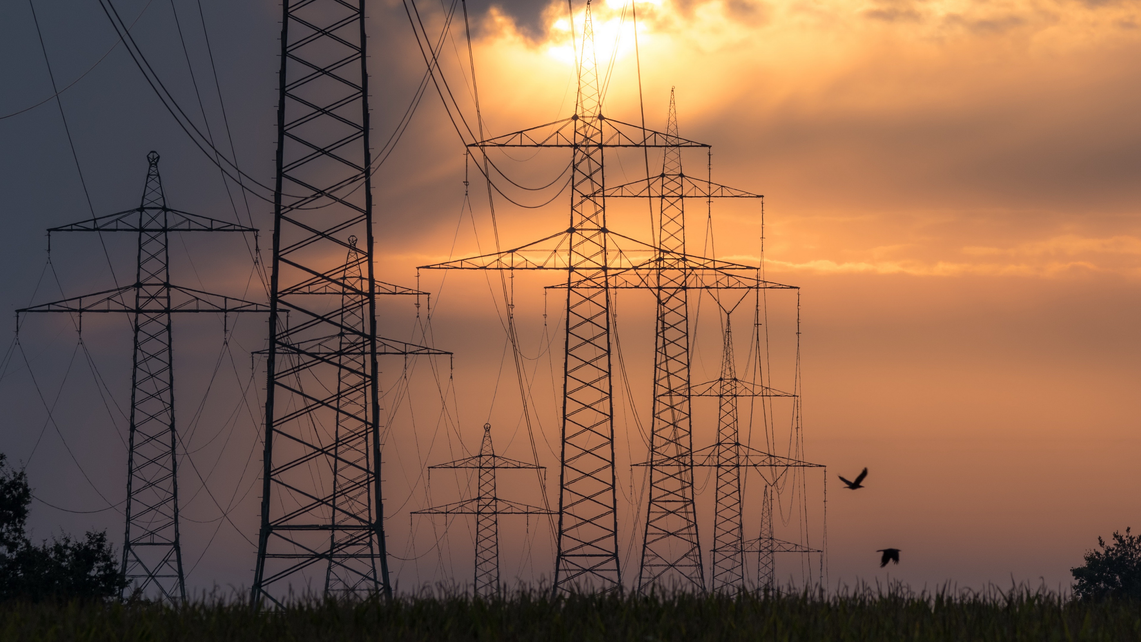 Man Made Power Line 4k Ultra HD Wallpaper