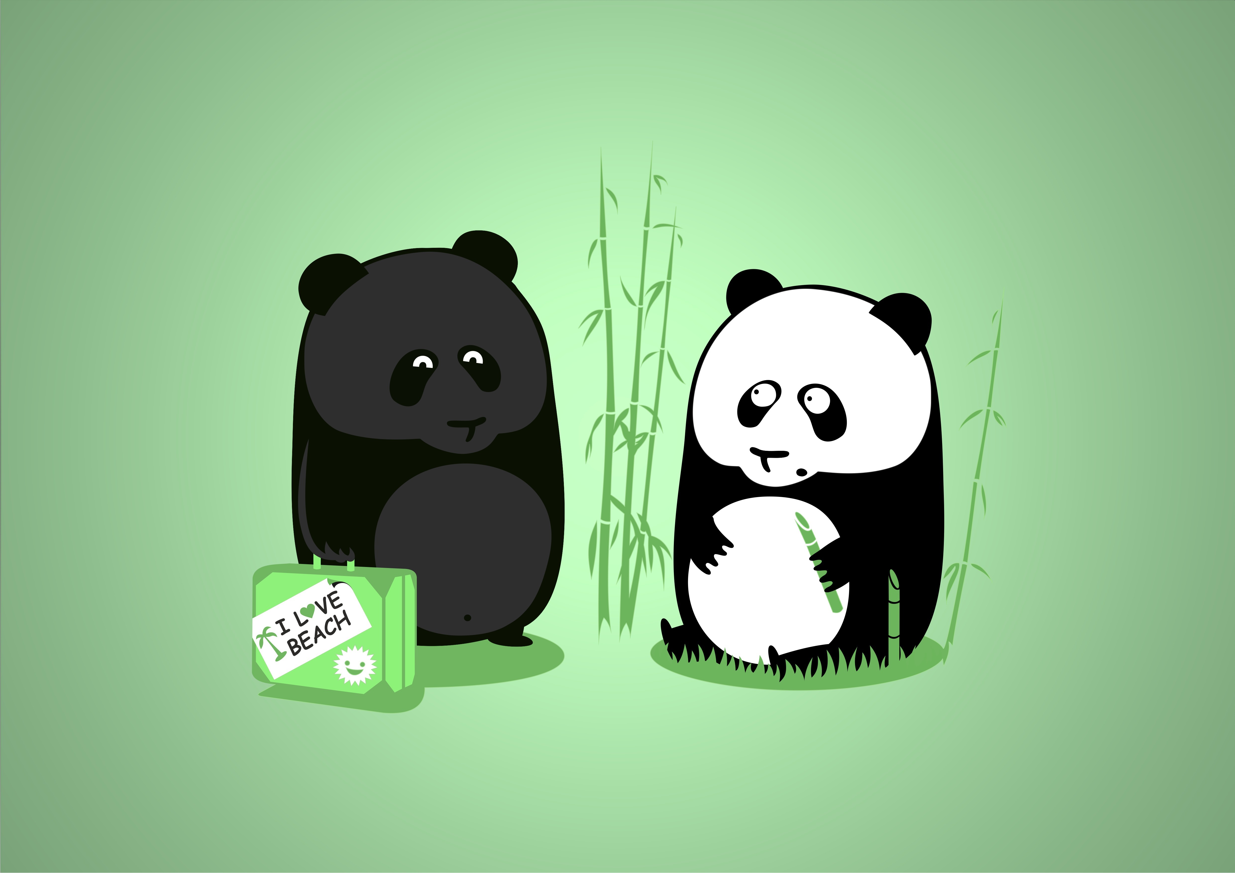 Animal Panda 4k Ultra HD Wallpaper