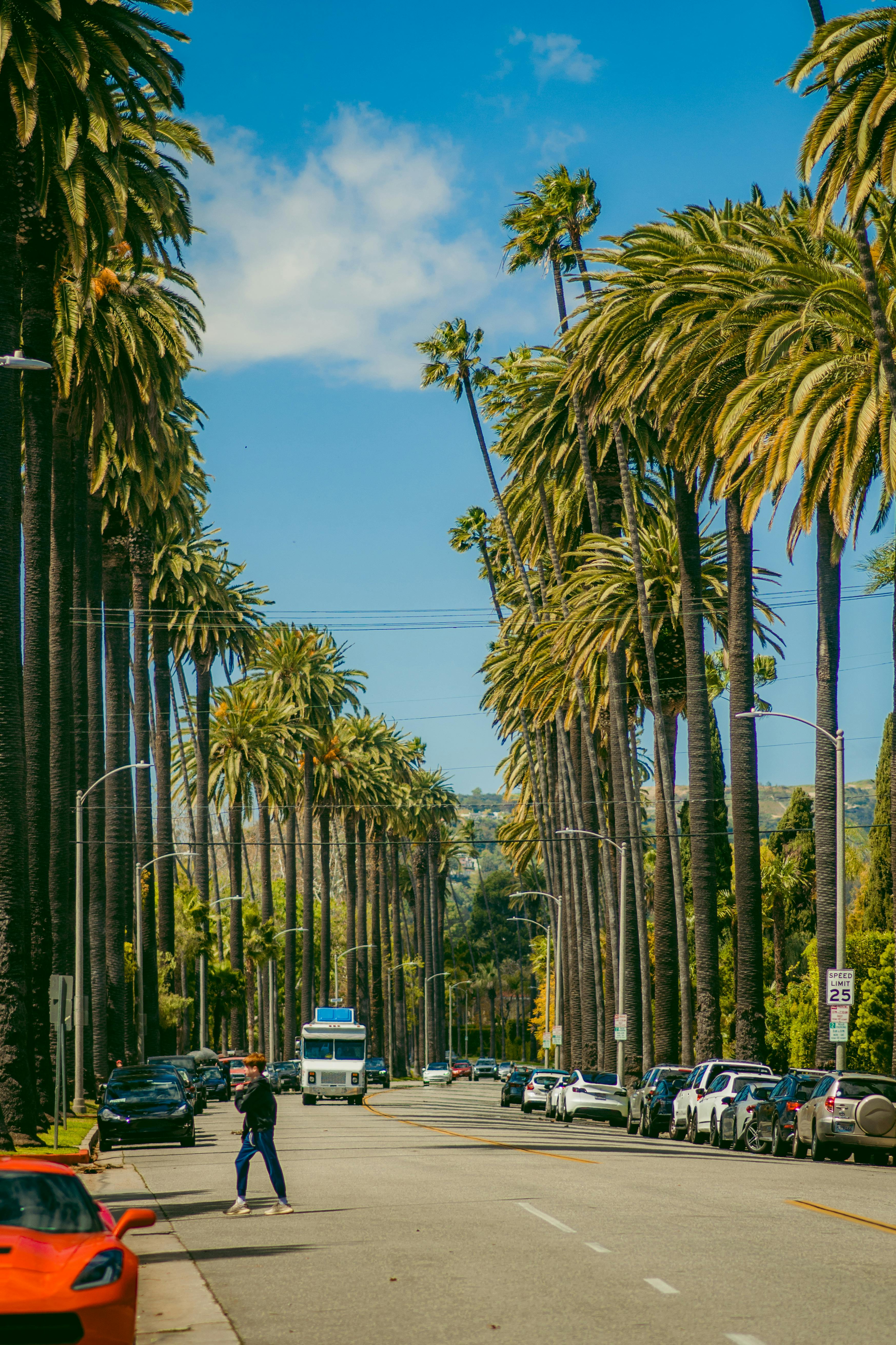 The Beverly Hills Building · Free