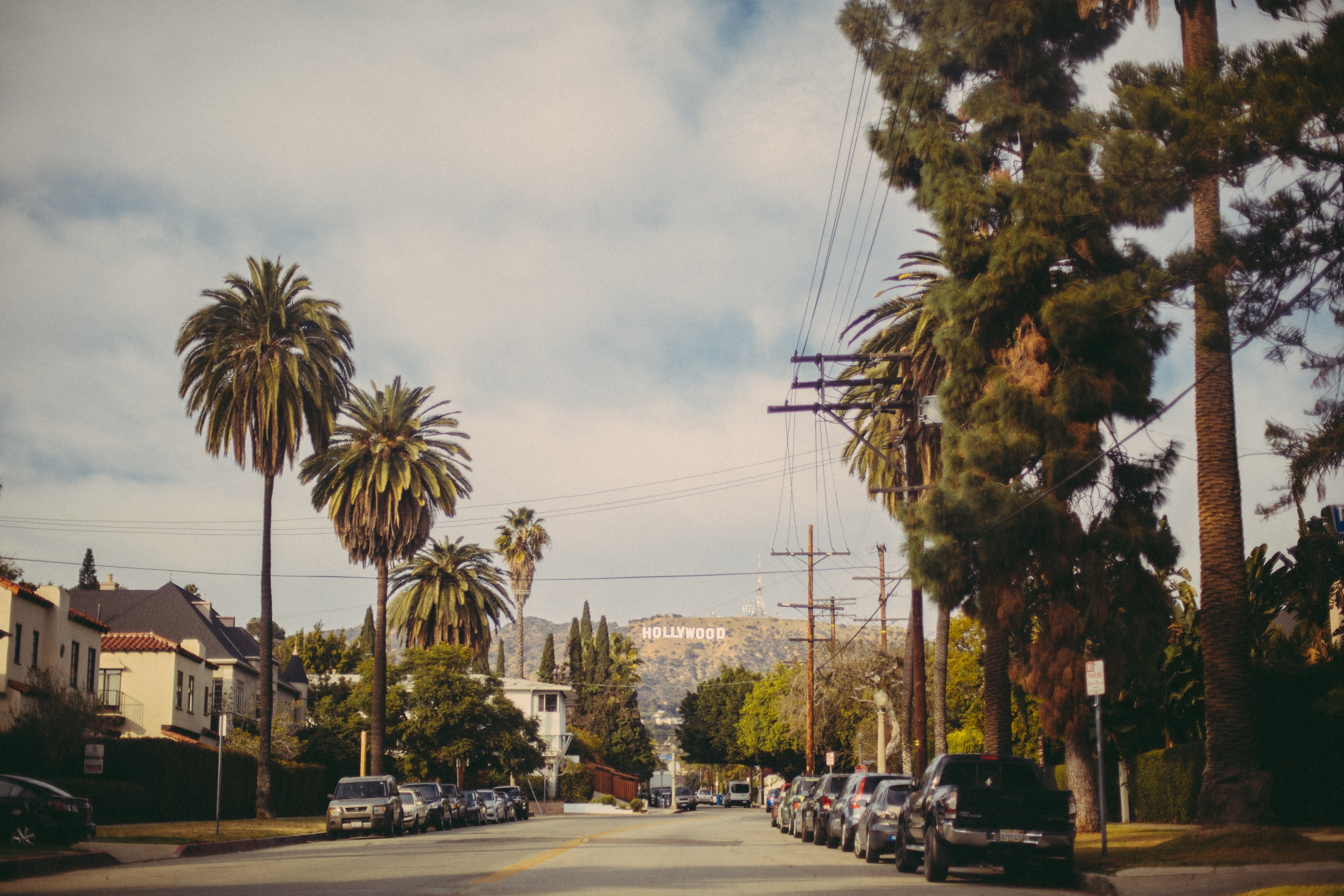 a street in beverly hills thats lined with palm trees and has a view of the hollywood sign, dreaming of hollywood 4k HD Wallpaper