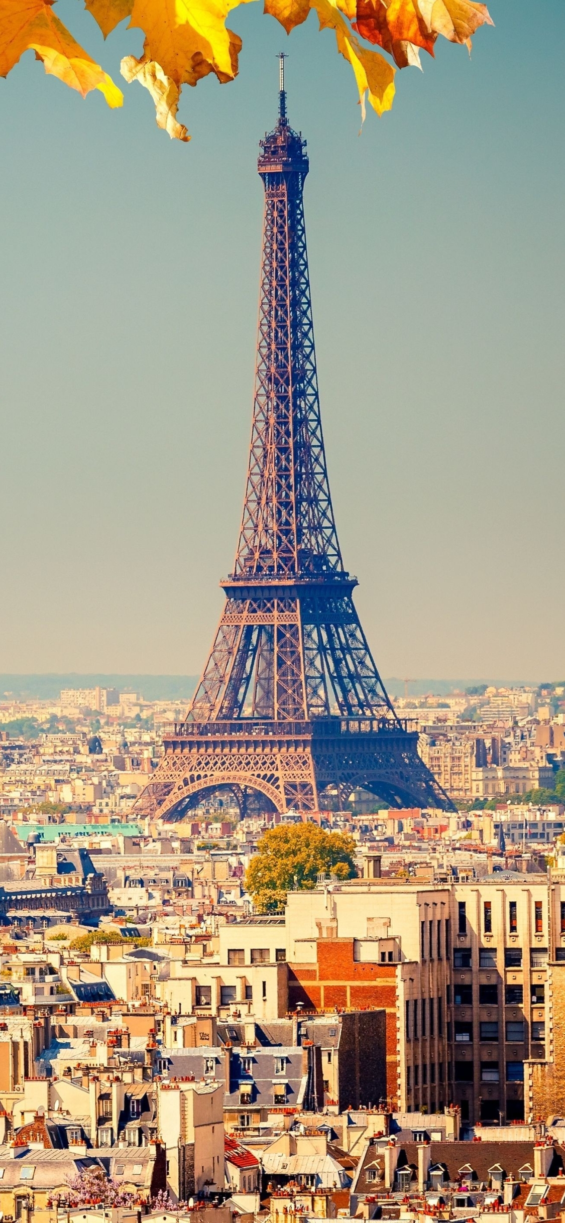 Download Eiffel Tower wallpaper for mobile phone, free Eiffel Tower HD picture