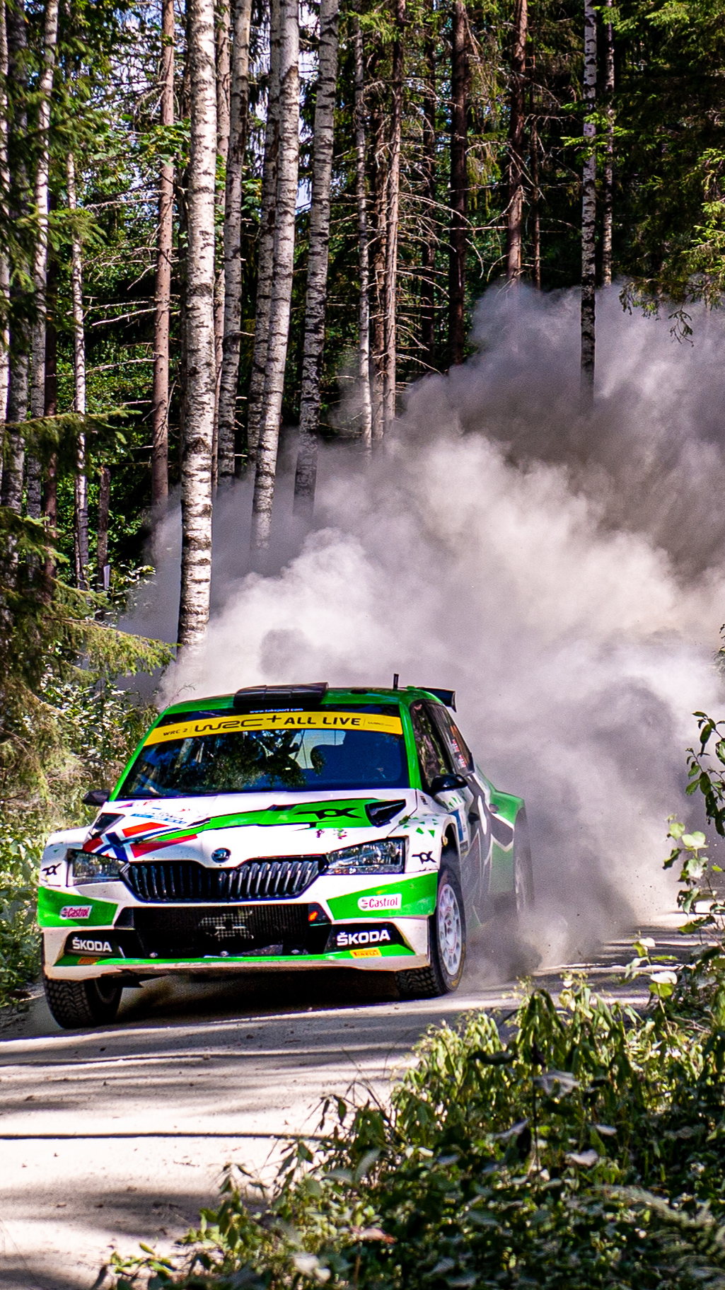 Download Rally Estonia Wallpaper for Your Phone - Škoda Motorsport