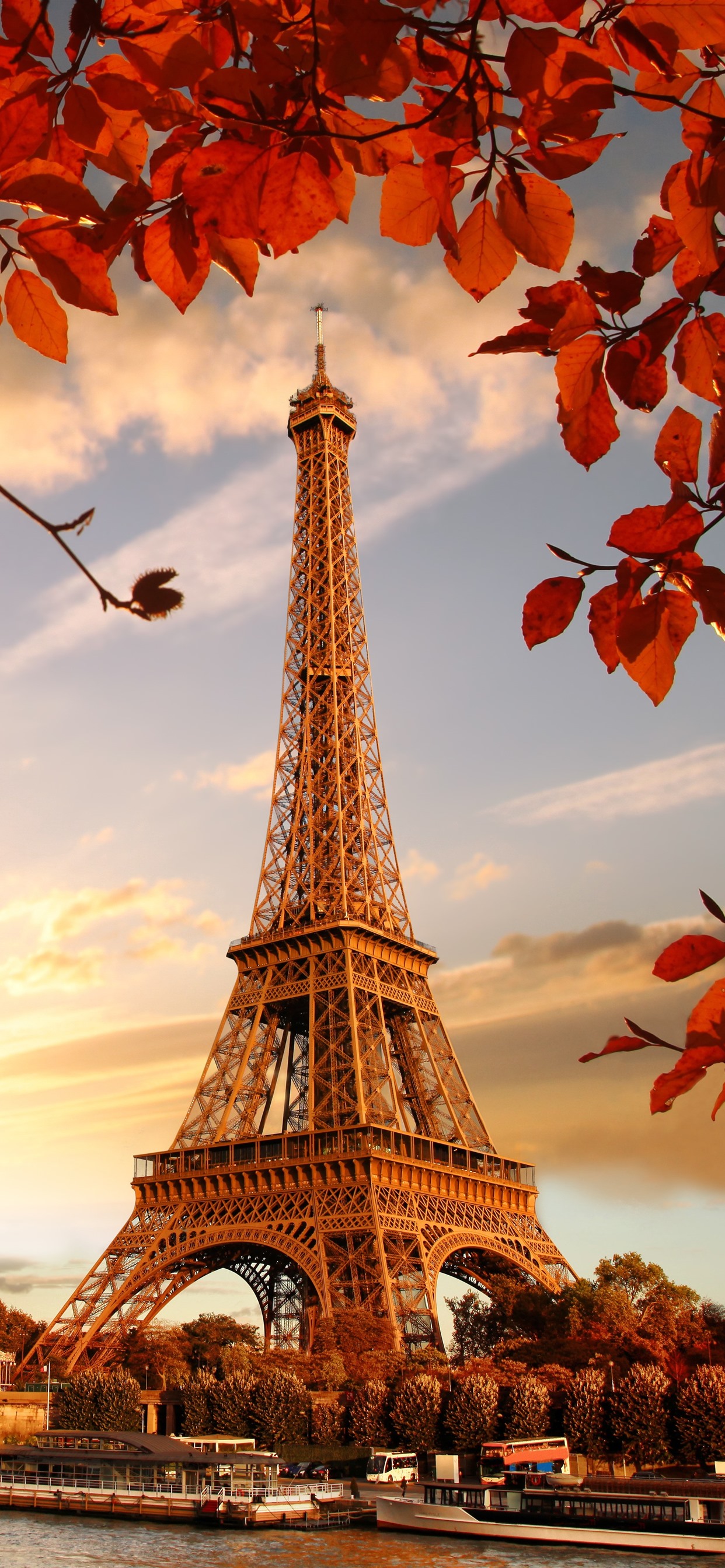 Eiffel Tower, Red Leaves, Twigs, Autumn 1242x2688 IPhone 11 Pro XS Max Wallpaper, Background, Picture, Image