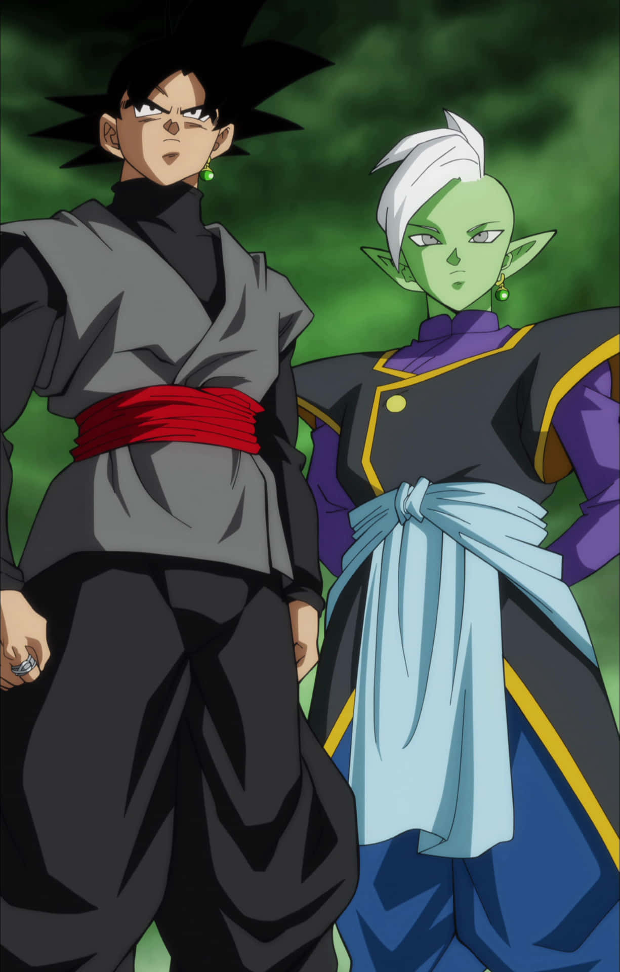 Download Goku And Zamasu Dragon Ball Super Picture