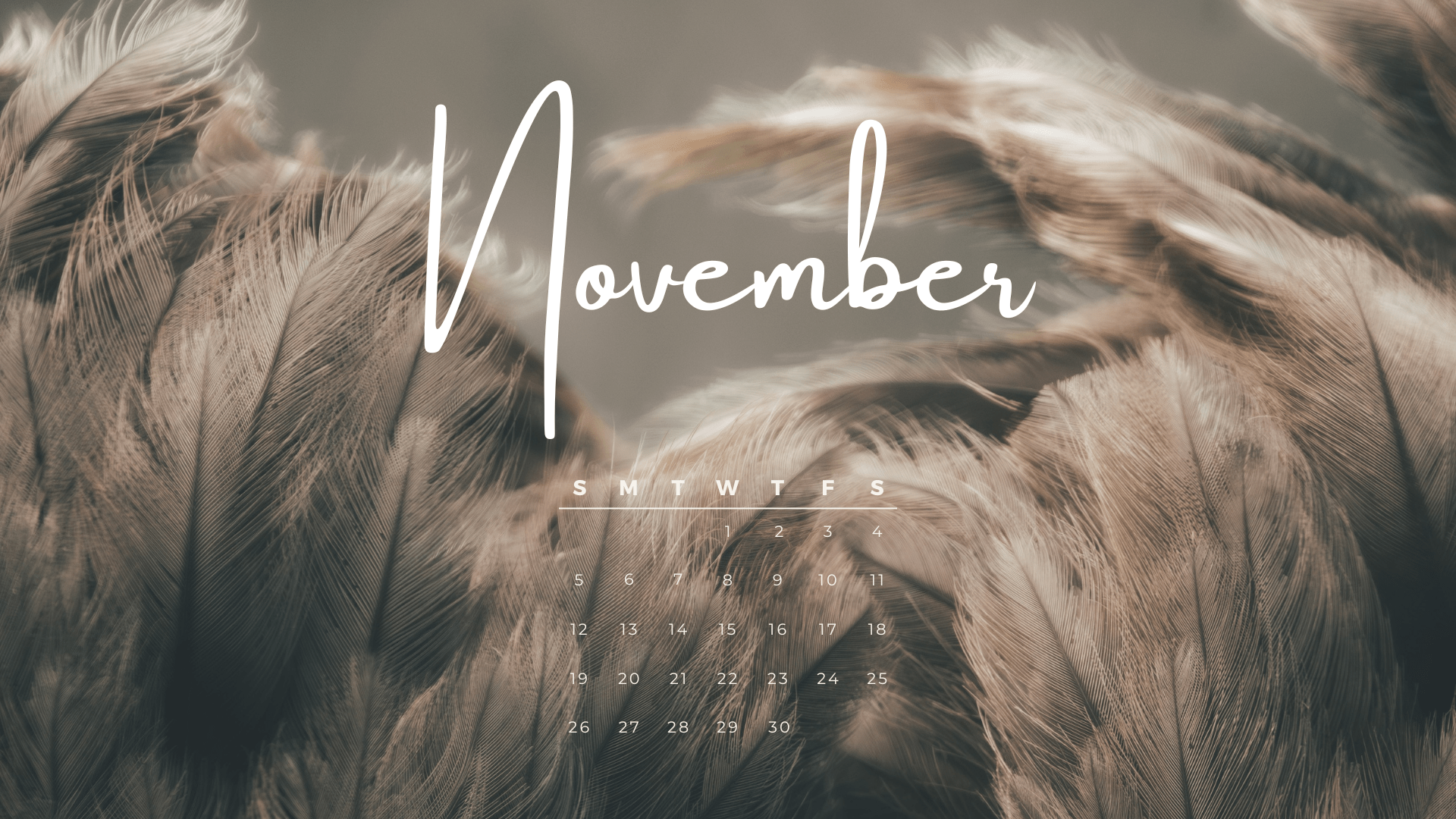 Free Desktop Background November 2023 Dash of Kam