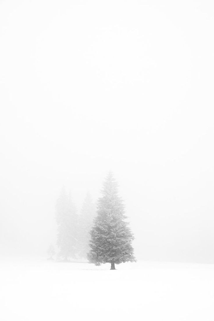 Winter Tree Print Minimalist Decor Printable Art 0165. Winter wallpaper, Minimal wall art, Minimalist wall art