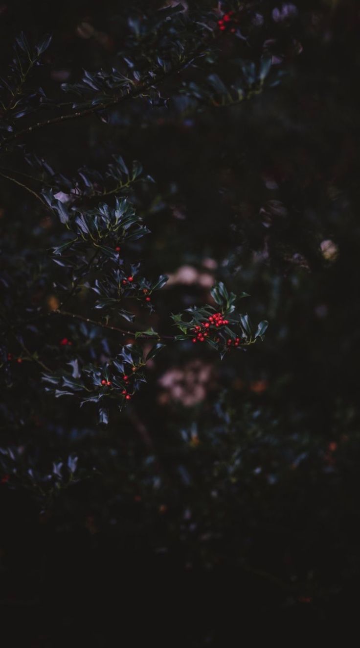 Heaven help me now. iPhone wallpaper fall, Fall wallpaper, Abstract art wallpaper